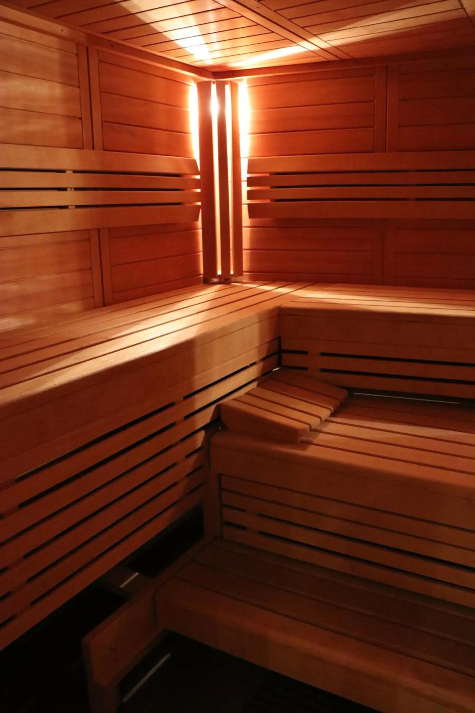 Sauna in Hotel Arminius