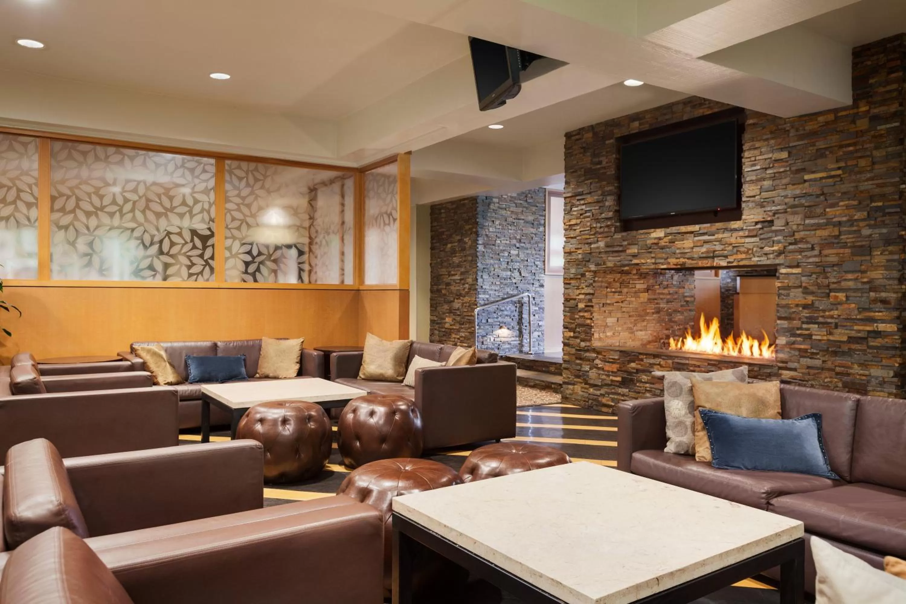 Lounge or bar in USC Hotel