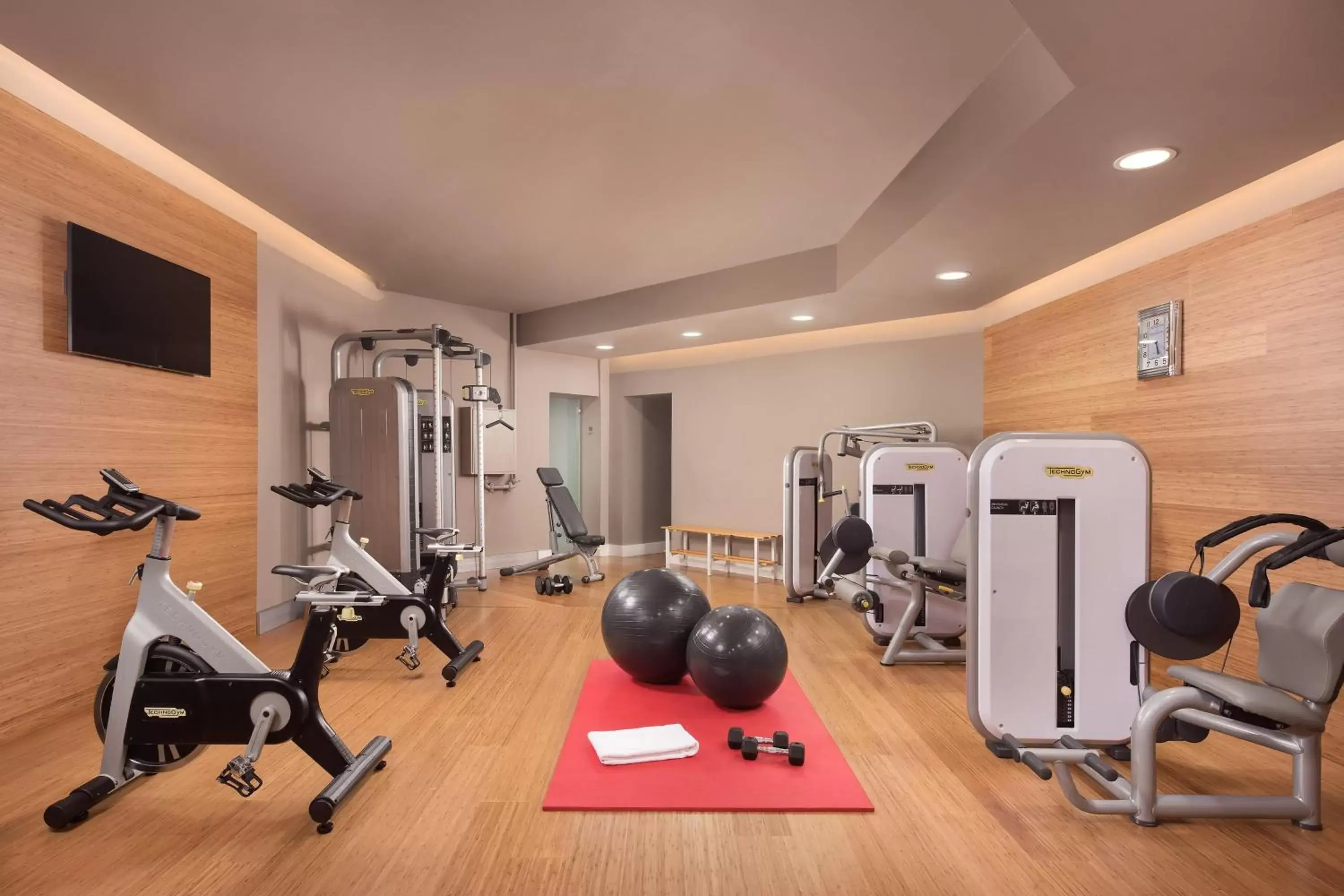 Fitness centre/facilities, Fitness Center/Facilities in Hotel Maria Cristina, a Luxury Collection Hotel, San Sebastian