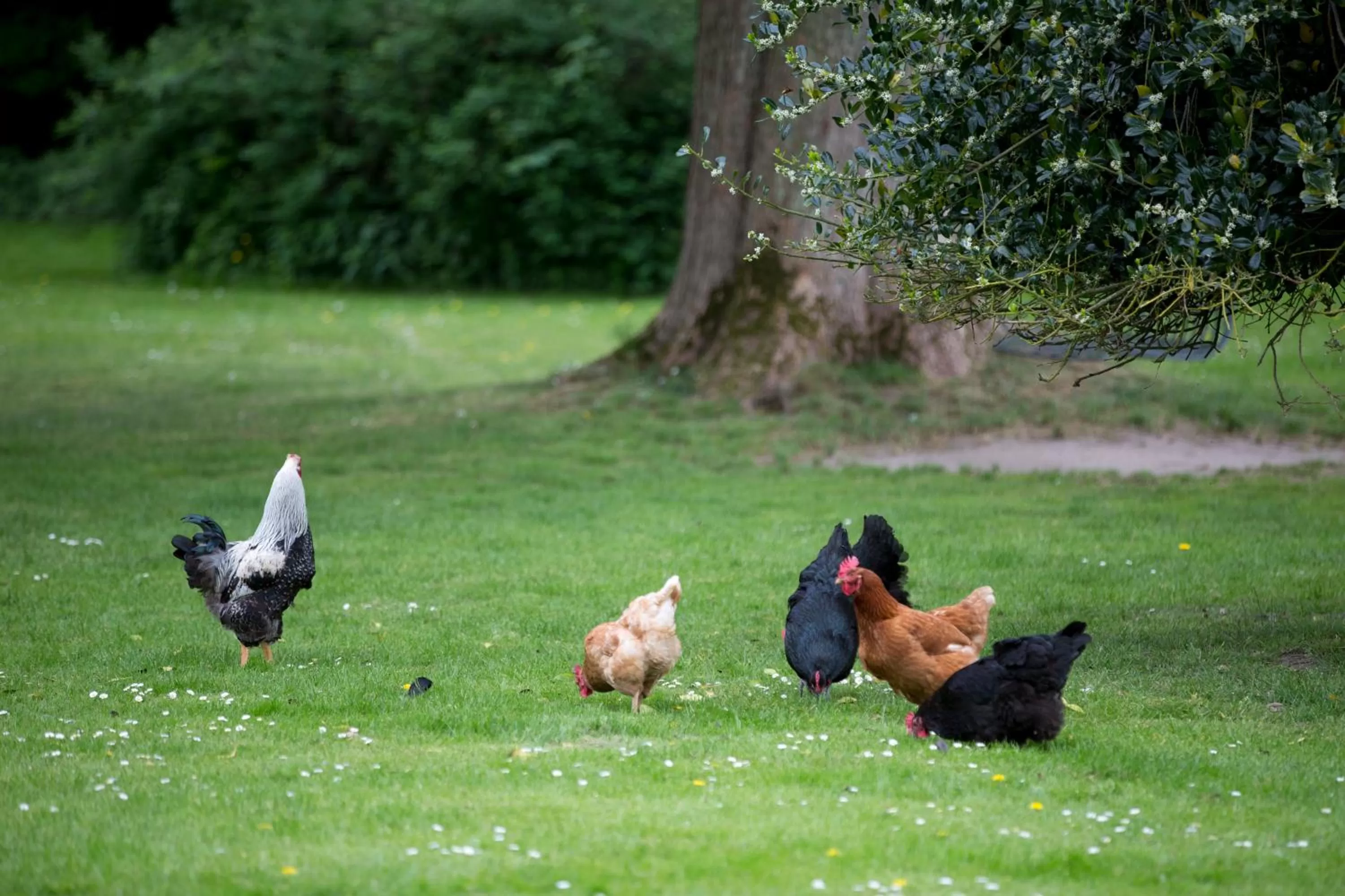 Garden in Ny Kirstineberg Gods Bed & Breakfast