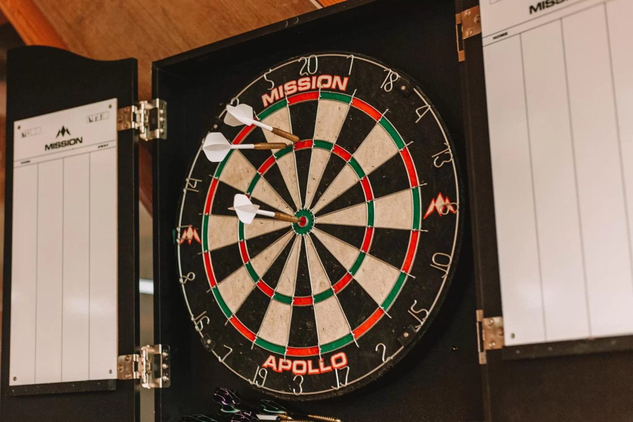 Darts in Harlingen Staete B&B Boutique hotel
