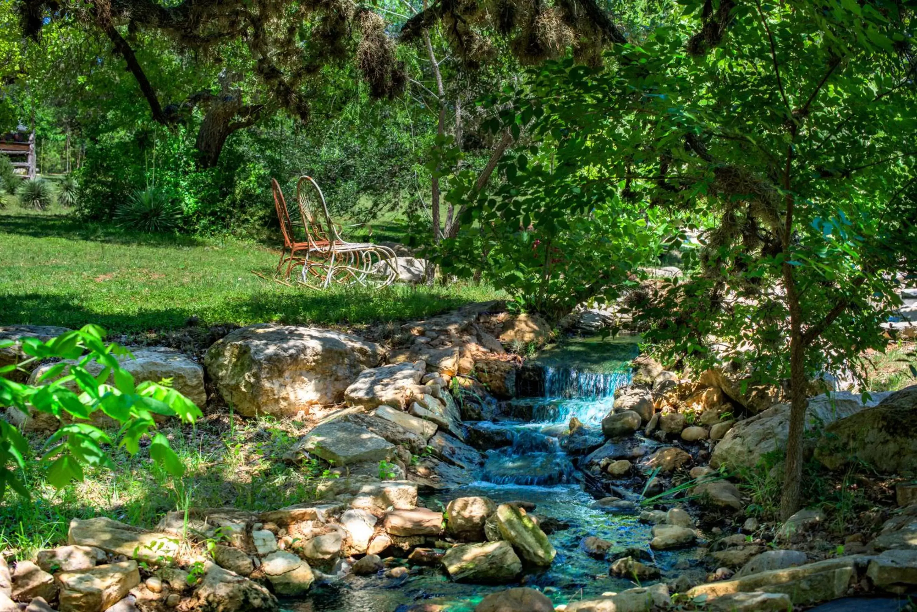 Natural landscape, Other Animals in Barons CreekSide Resort