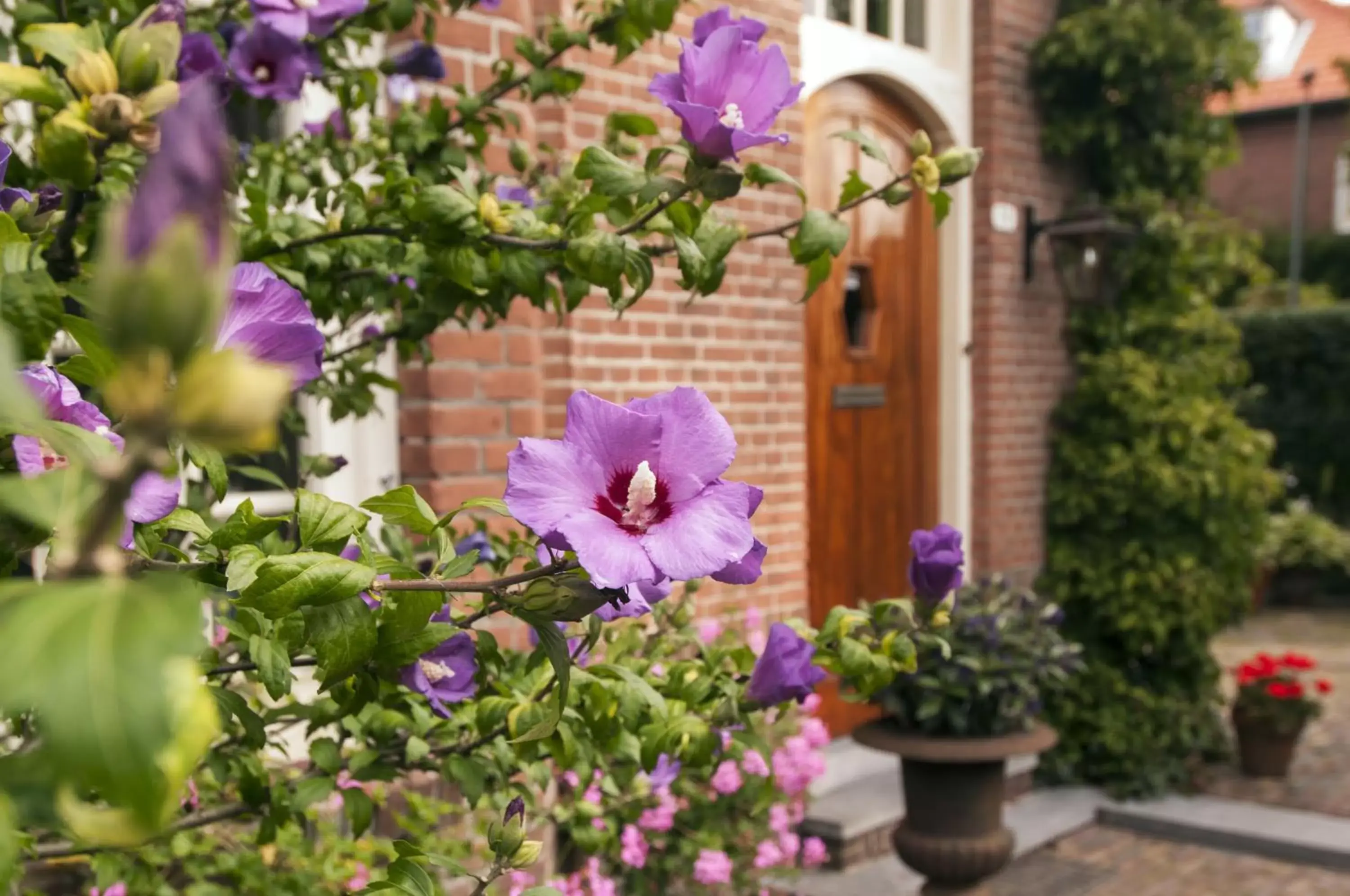 Facade/entrance in B&B De Schiedamse Suites