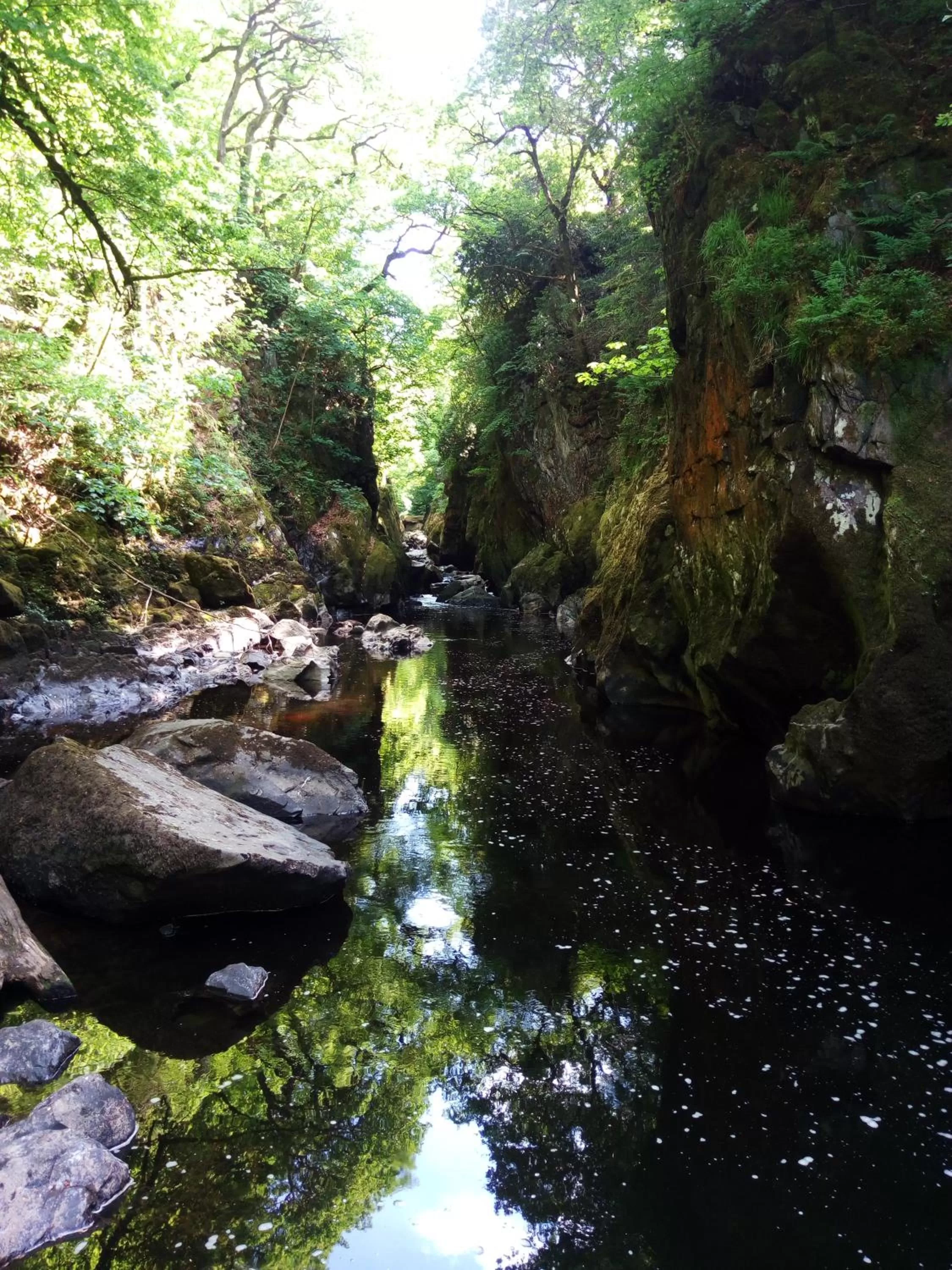 Nearby landmark, Natural Landscape in Aberconwy House B&B