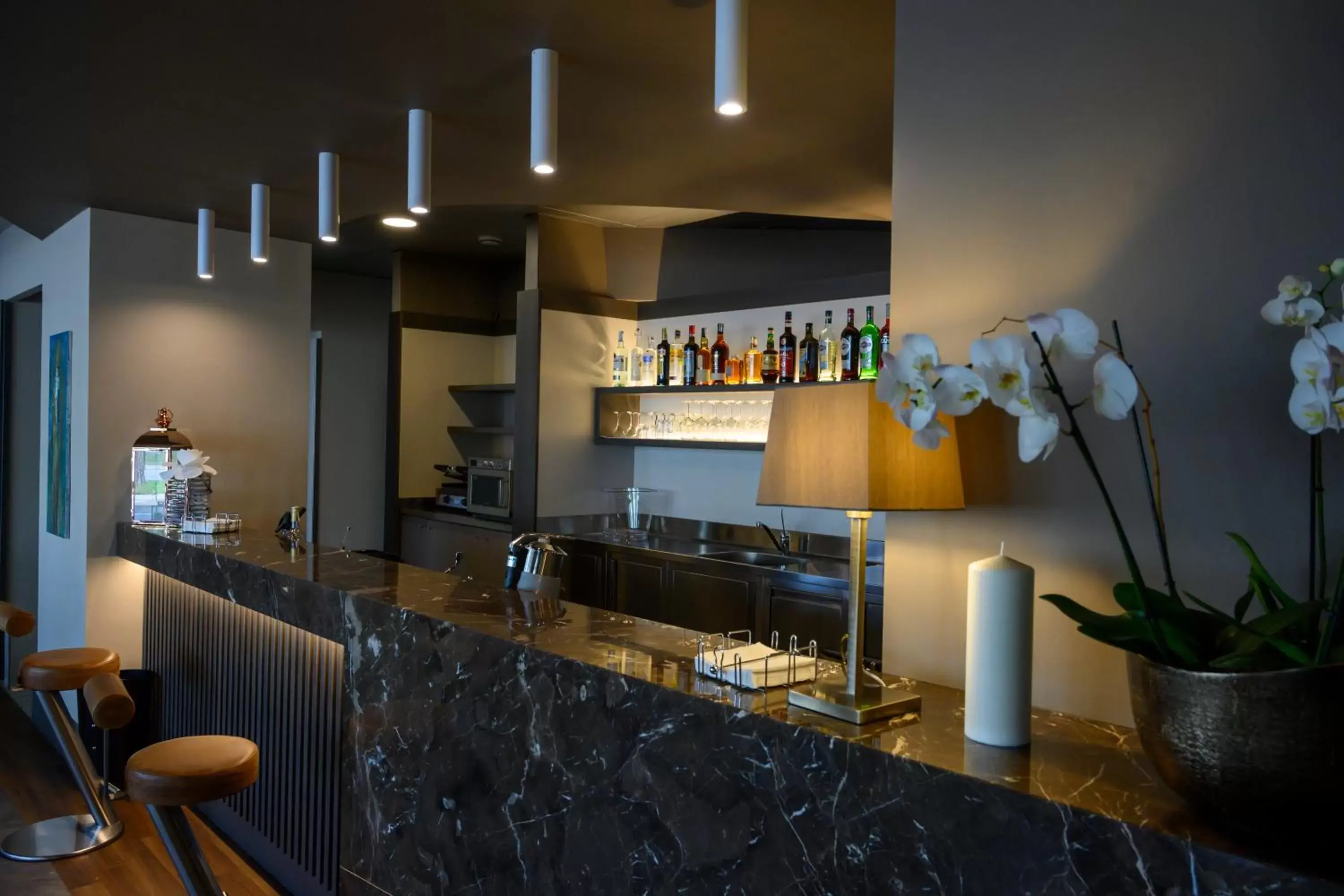 Lounge or bar, Kitchen/Kitchenette in DC HOTEL INTERNATIONAL