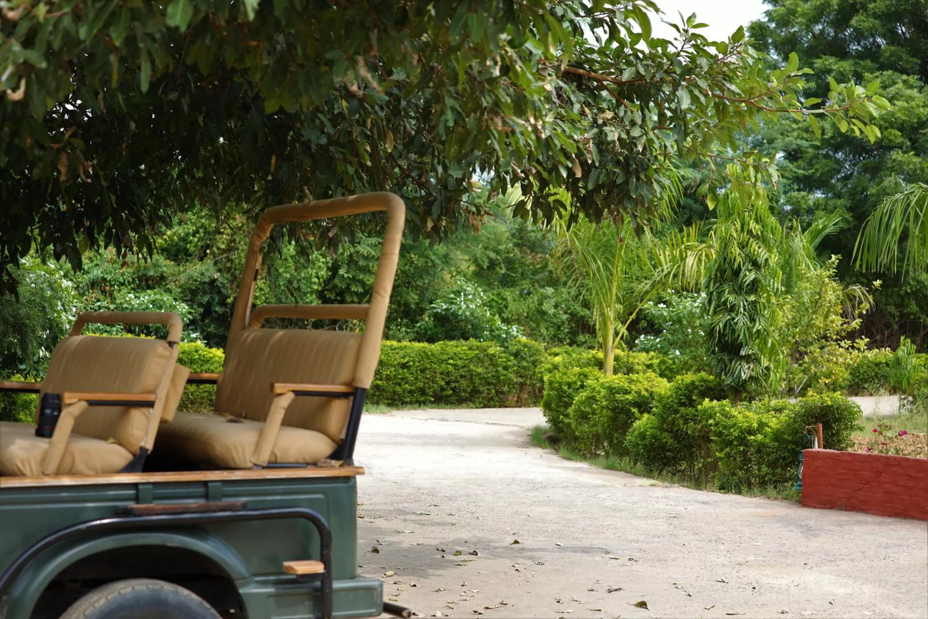 Camp Paridhi Ranthambhore, Homestay