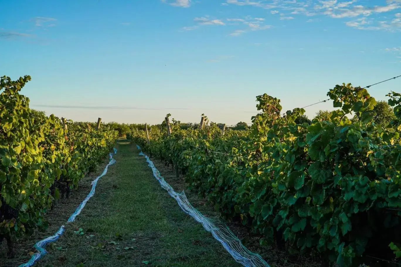 Garden in Narbona Wine Lodge