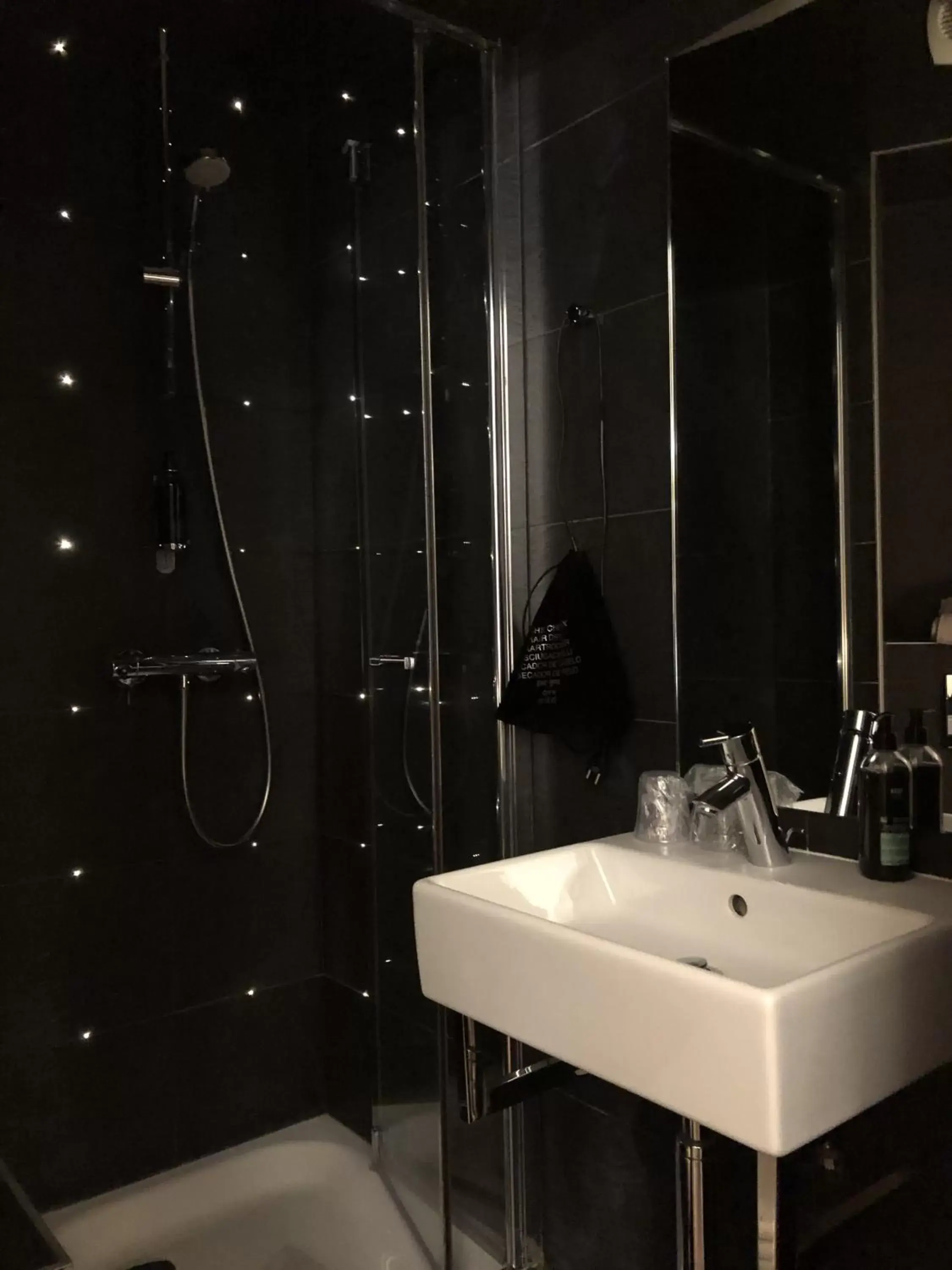 Shower, Bathroom in Hotel Dauphin