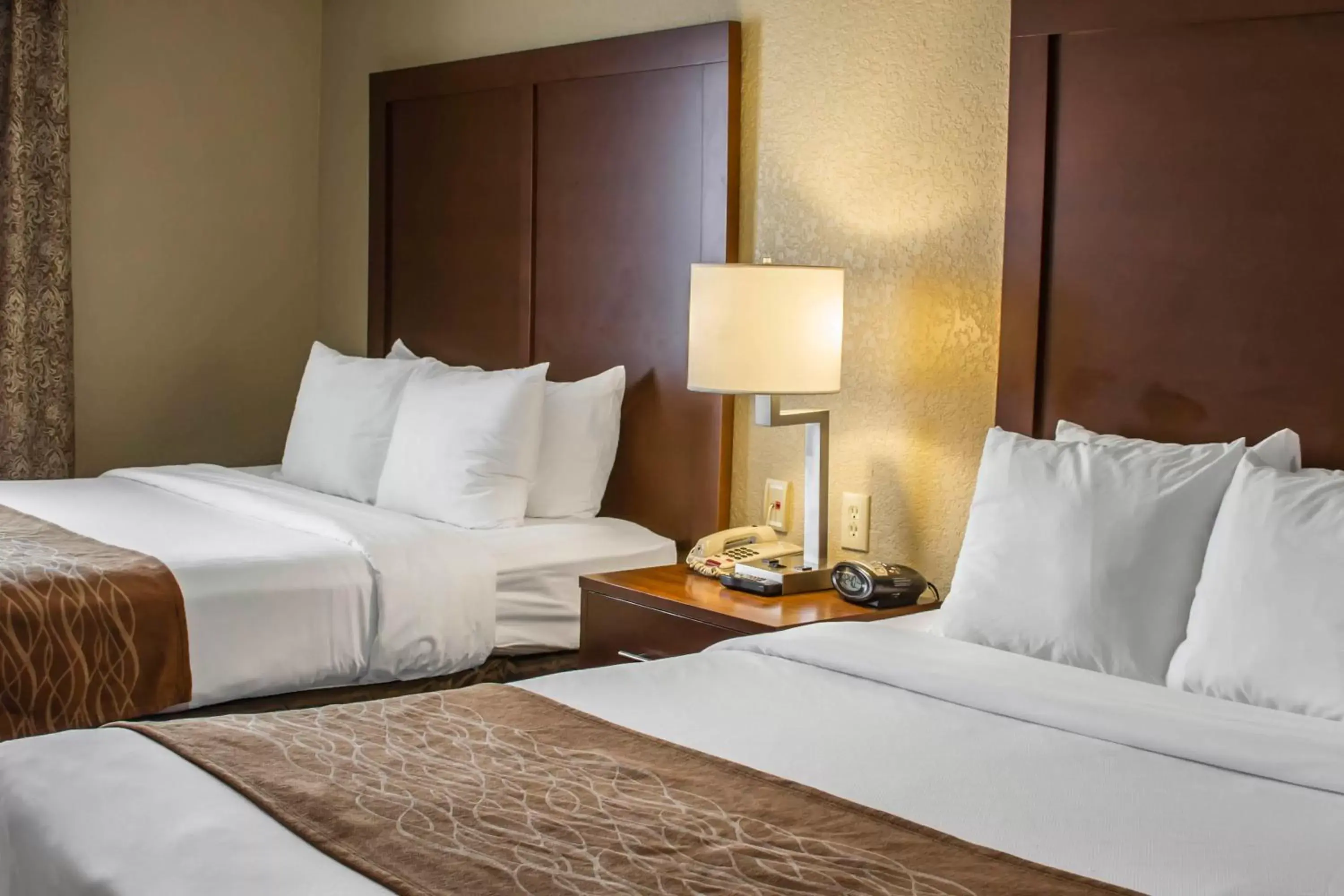 Queen Suite with Two Queen Beds - Non-Smoking in Comfort Suites Near Seaworld Queen Suite with Two Queen Beds - Non-Smoking in Comfort Suites Near Seaworld