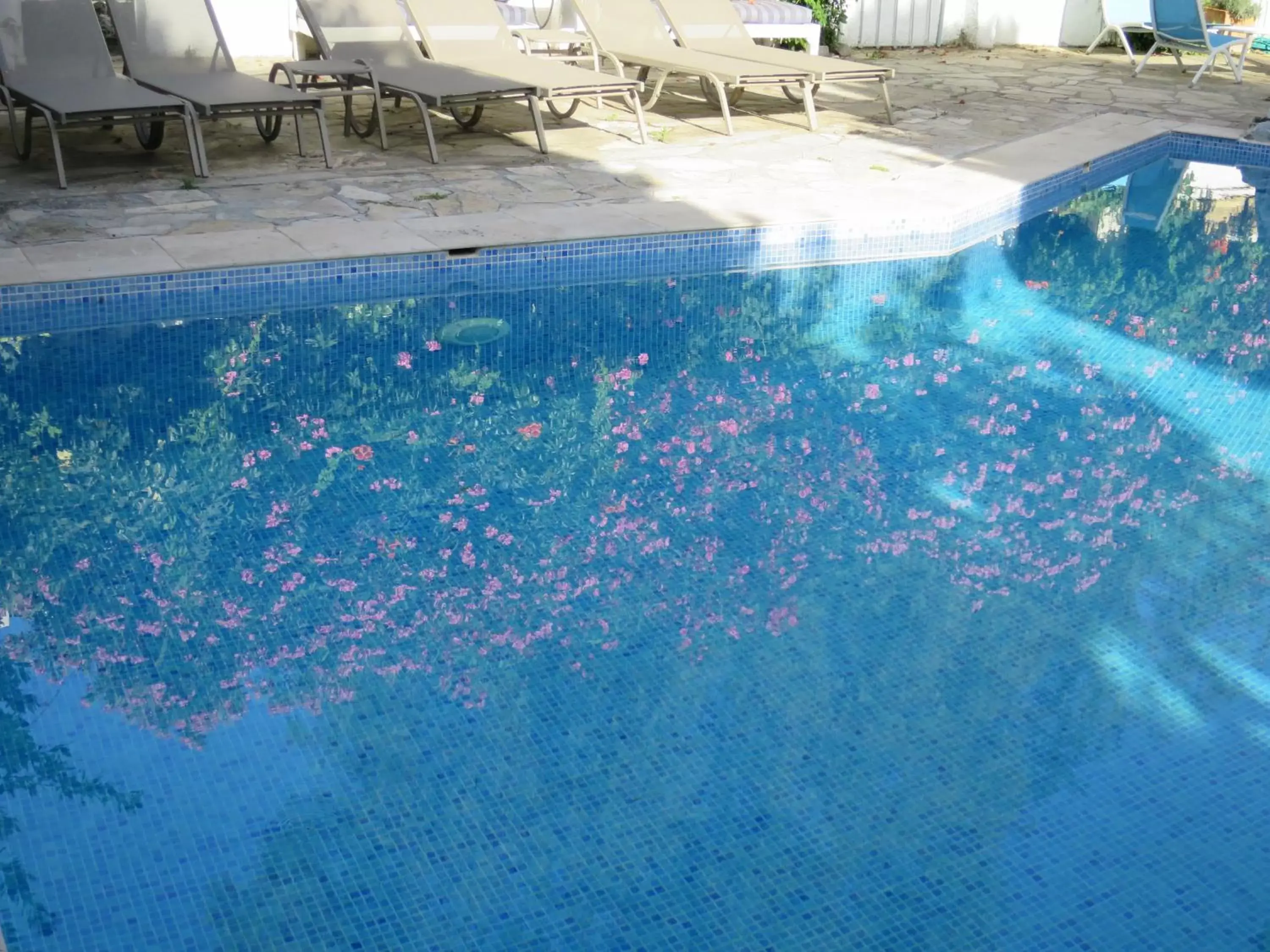 Swimming Pool in Hotel Kalehan