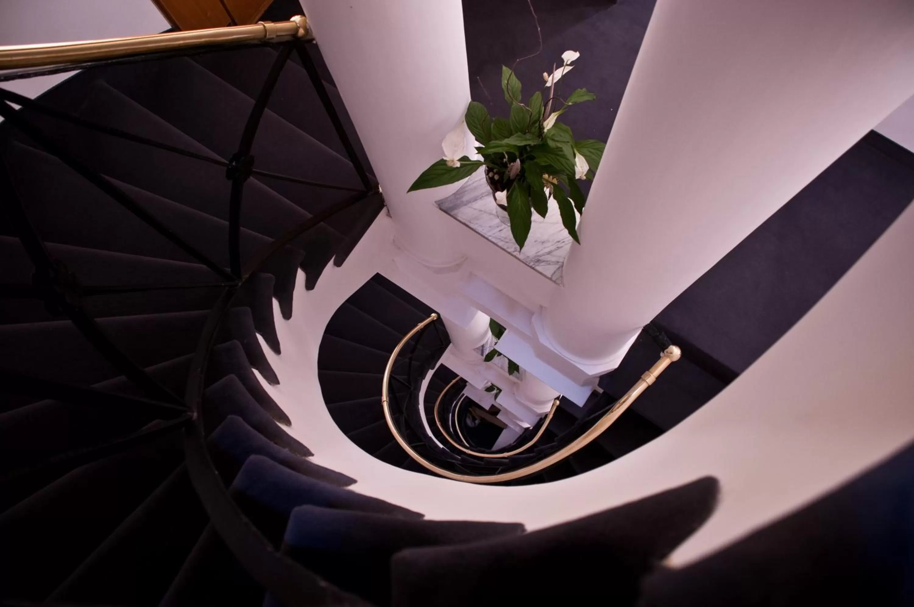 Decorative detail in Hotel Concordia