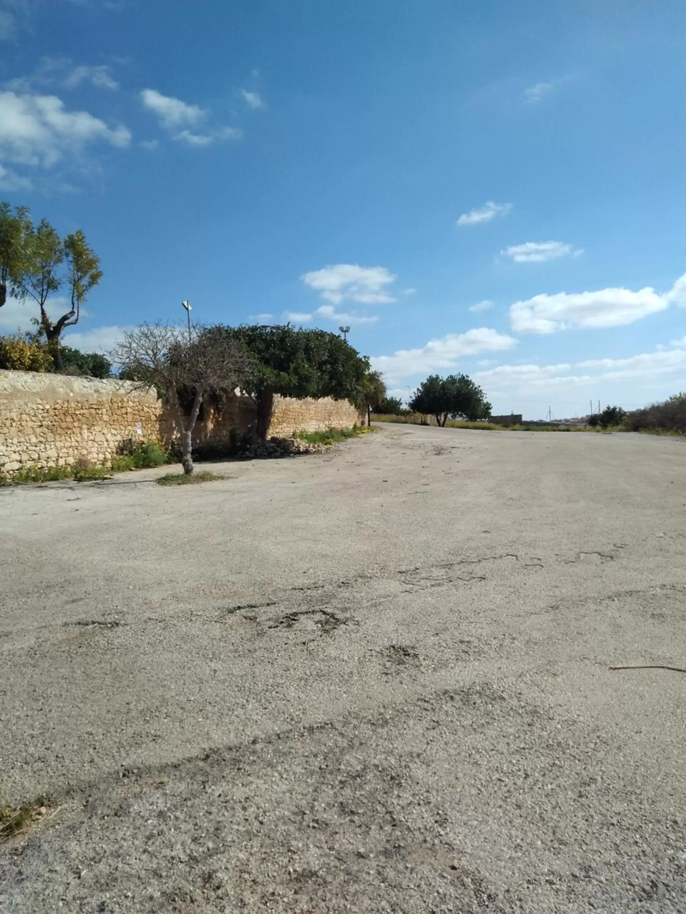 Natural landscape in Villa Principe Di Belmonte