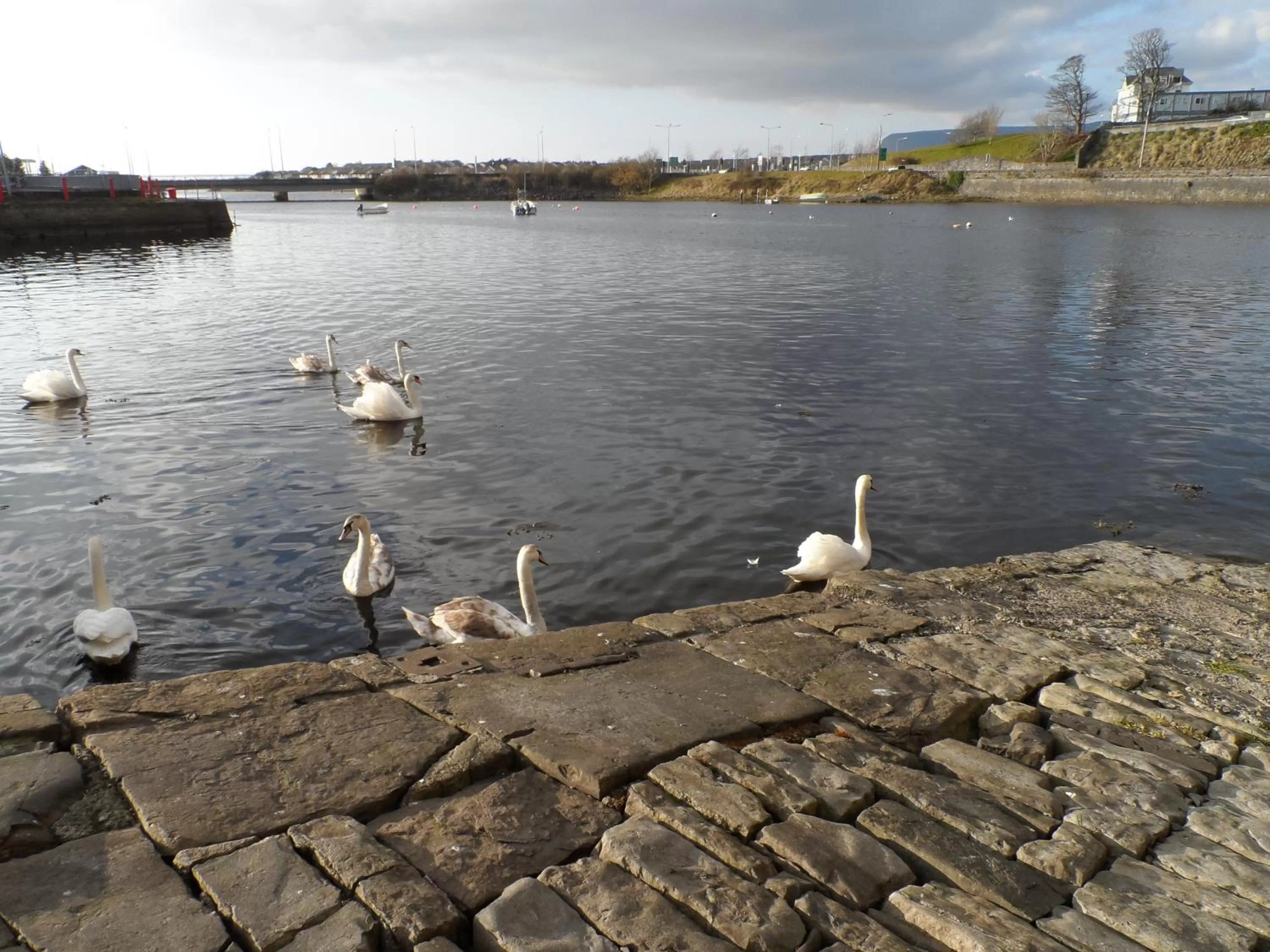 Area and facilities in The Address Sligo
