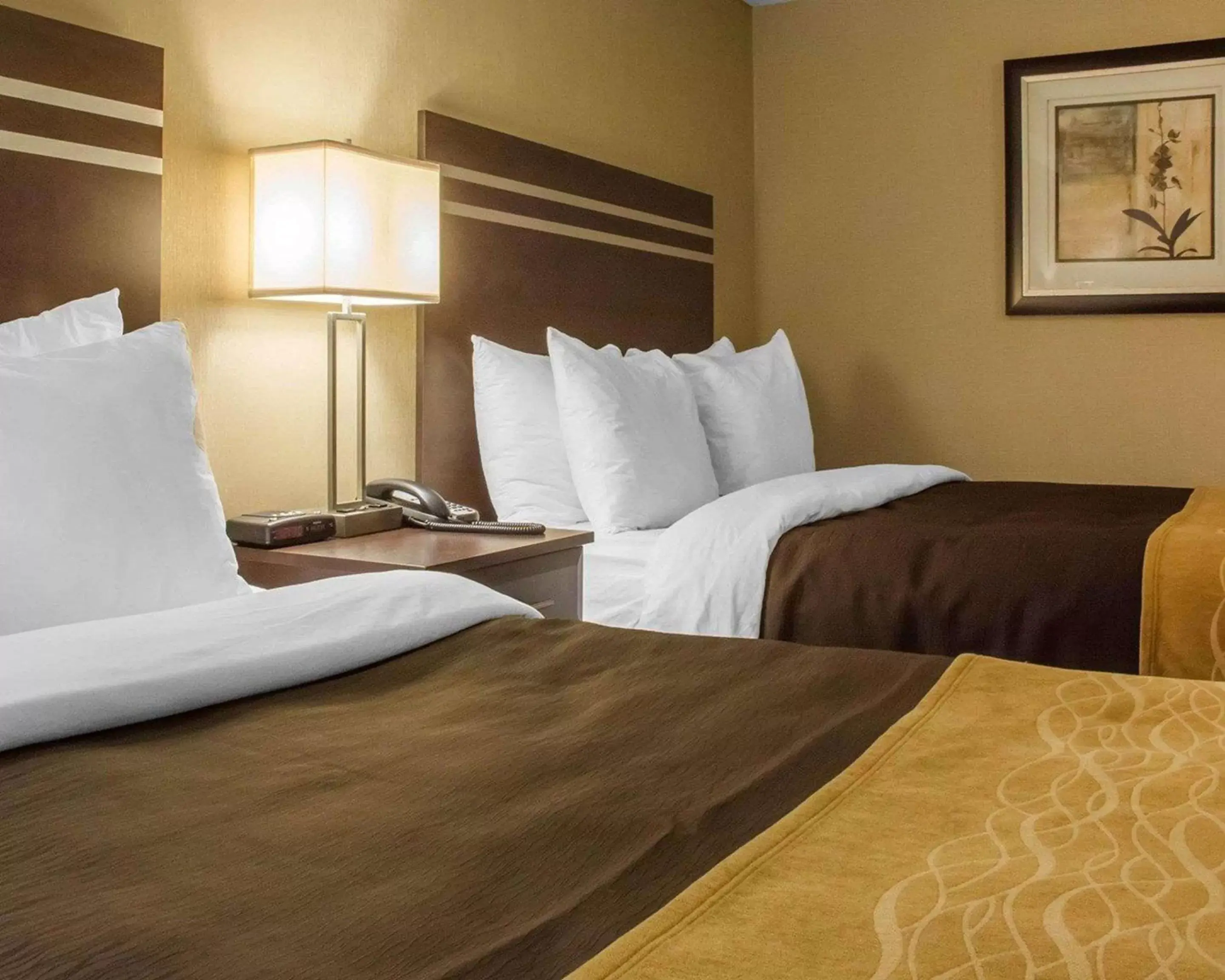 Photo of the whole room, Bed in Comfort Inn