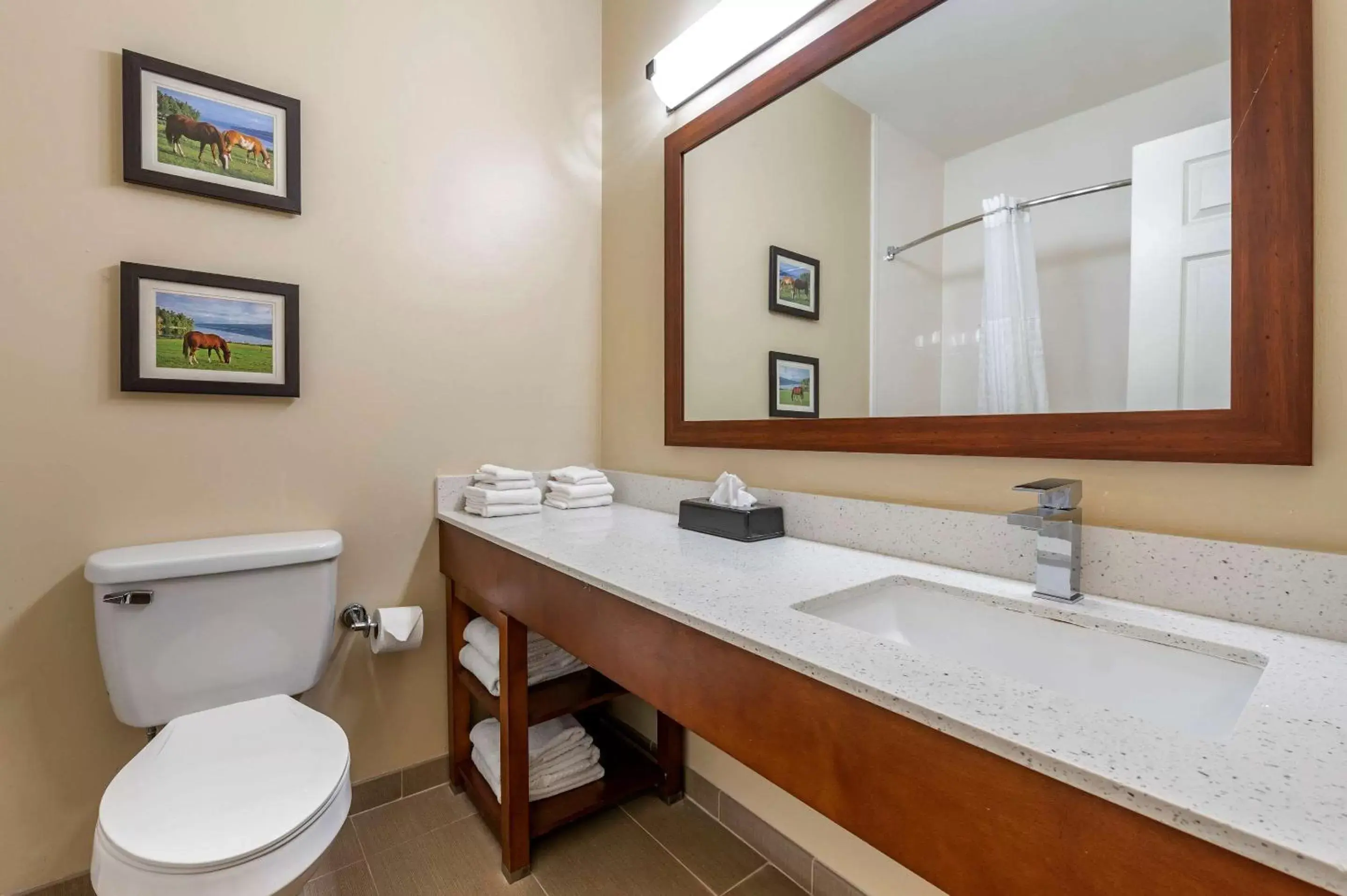 Photo of the whole room, Bathroom in Comfort Suites Keeneland
