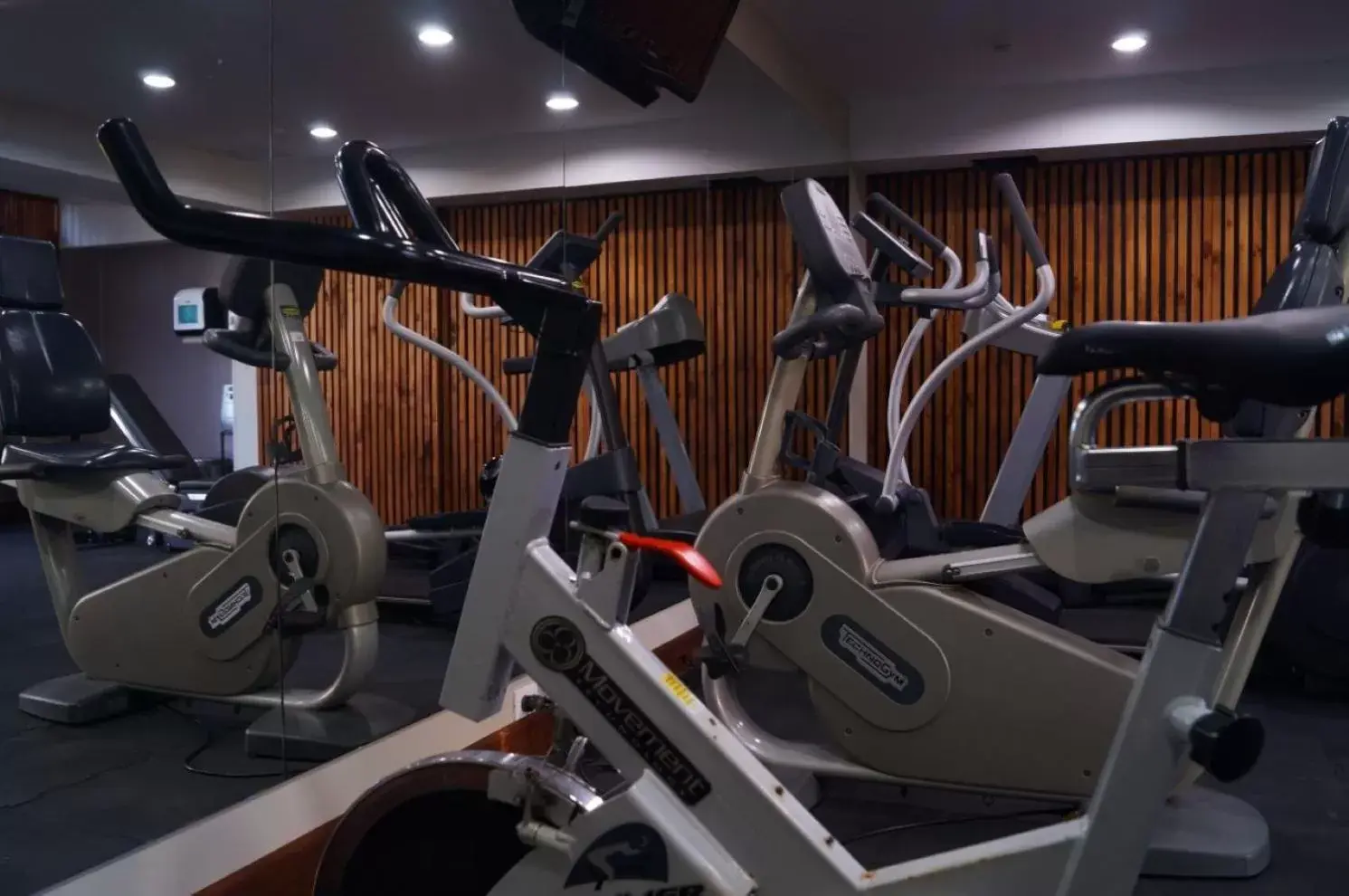 Fitness centre/facilities, Fitness Center/Facilities in Palma Real Hotel And Casino