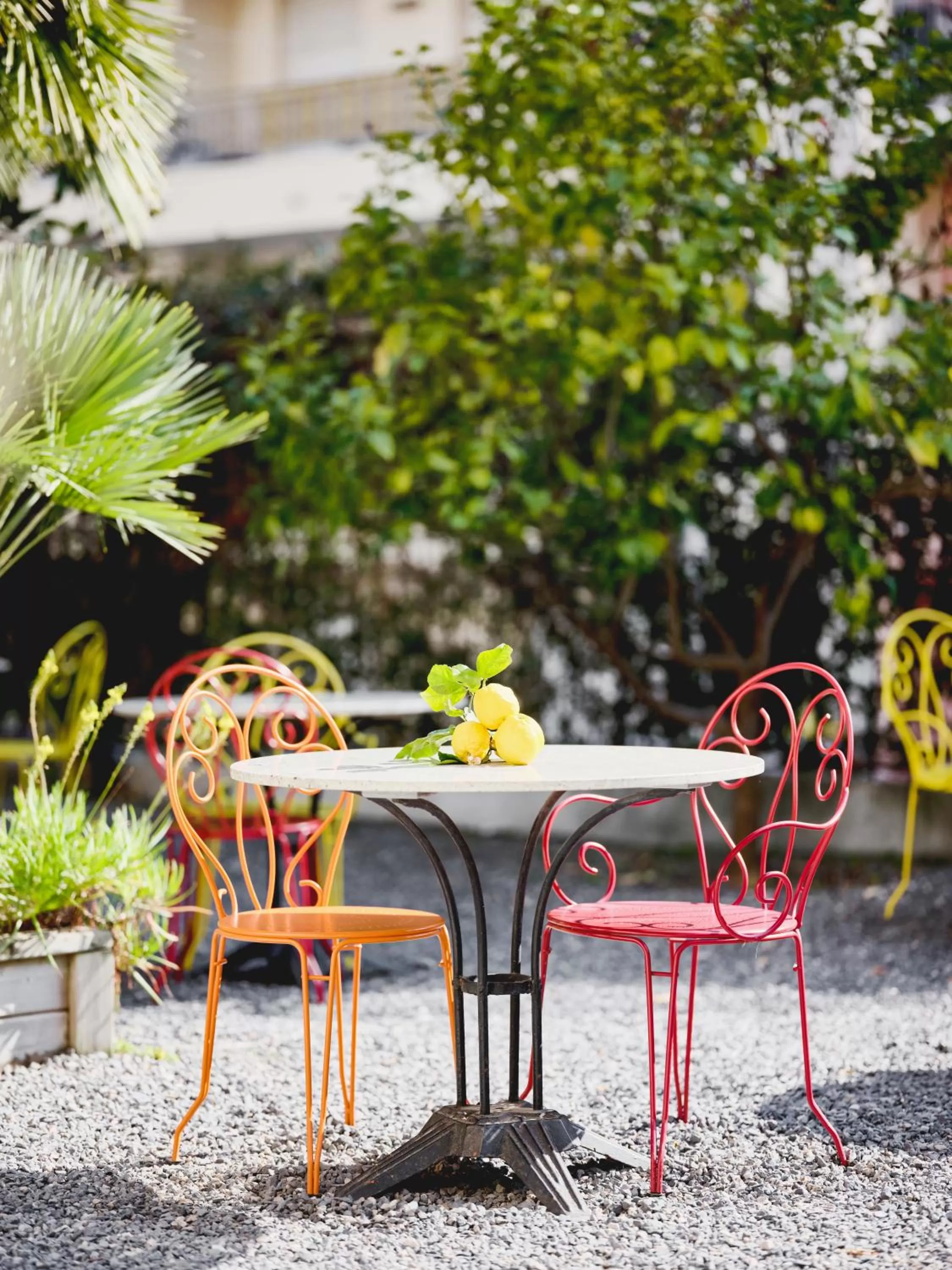 Garden in Hotel Lemon