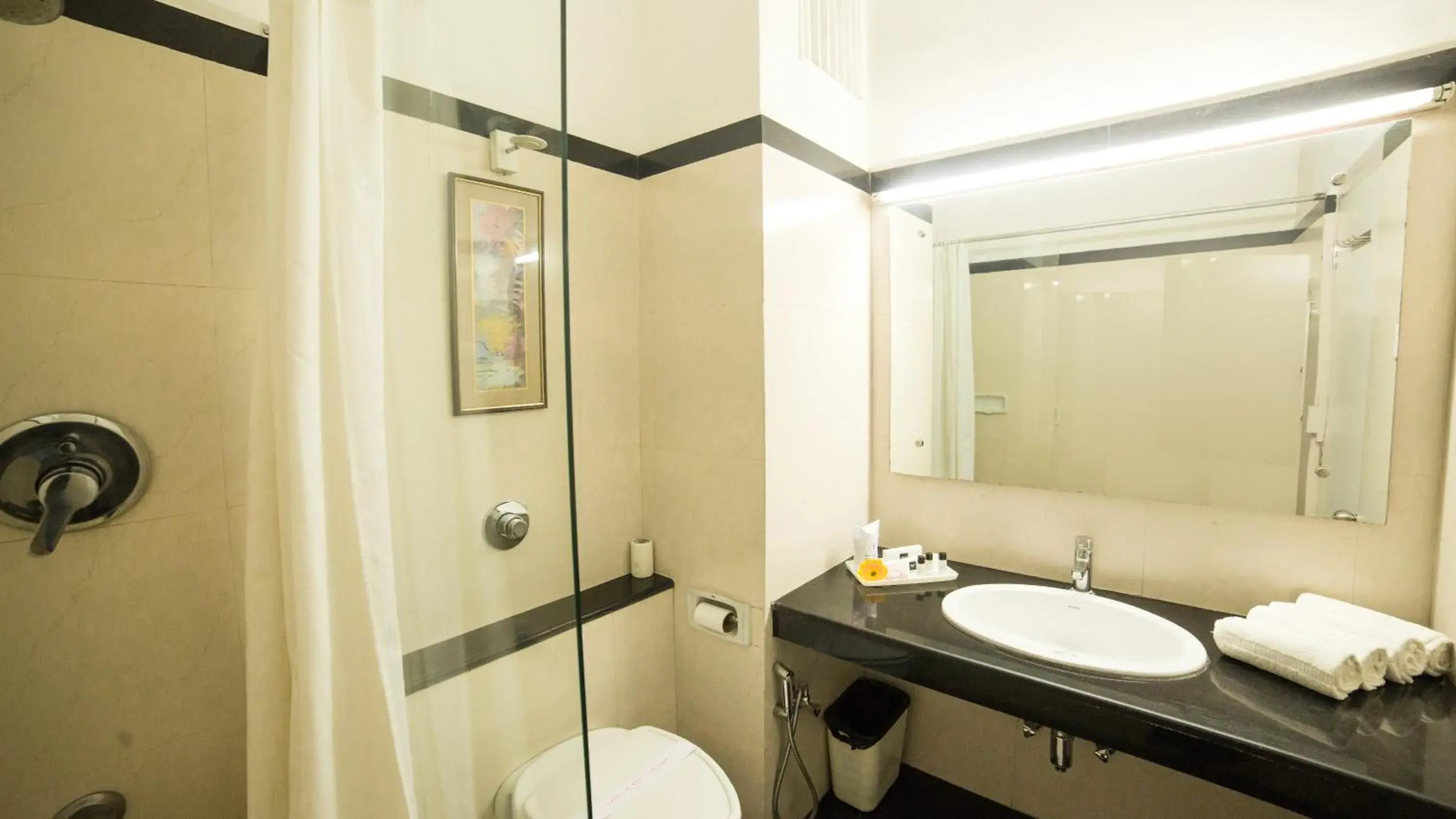 Toilet, Bathroom in Diamond Hotel