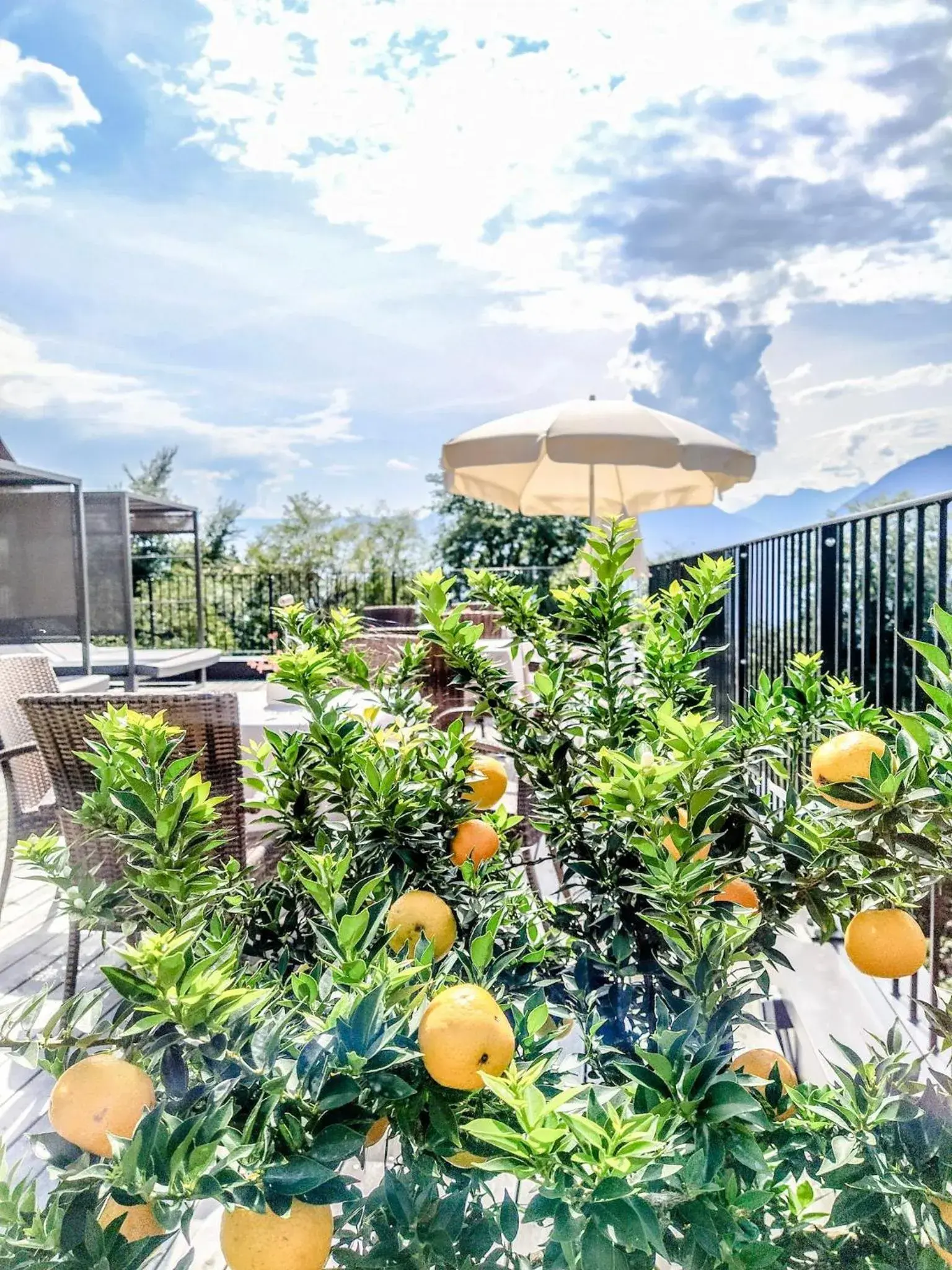 Patio in Hotel Der Weinmesser