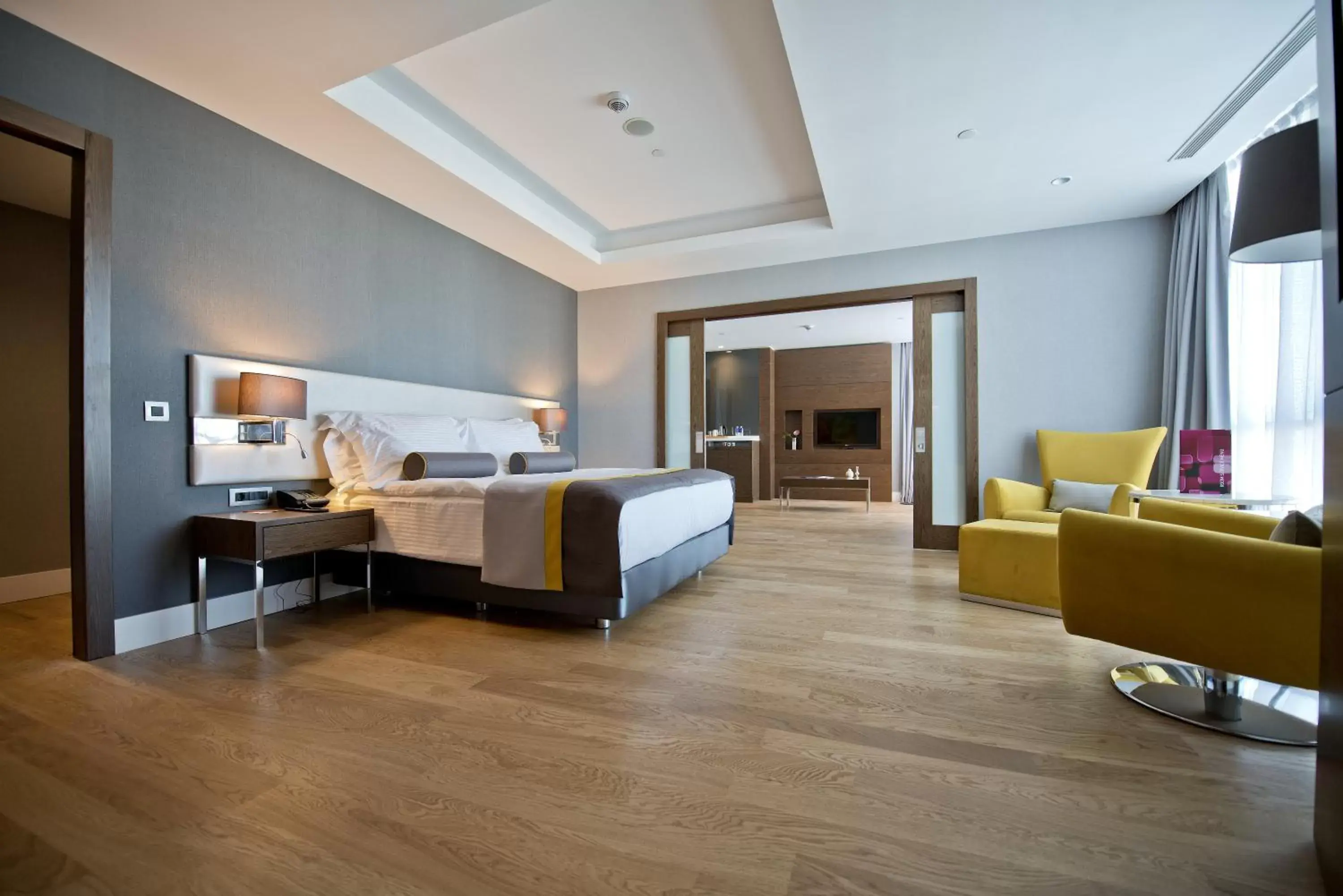 One Bedroom Suite  in Radisson Blu Hotel, Kayseri