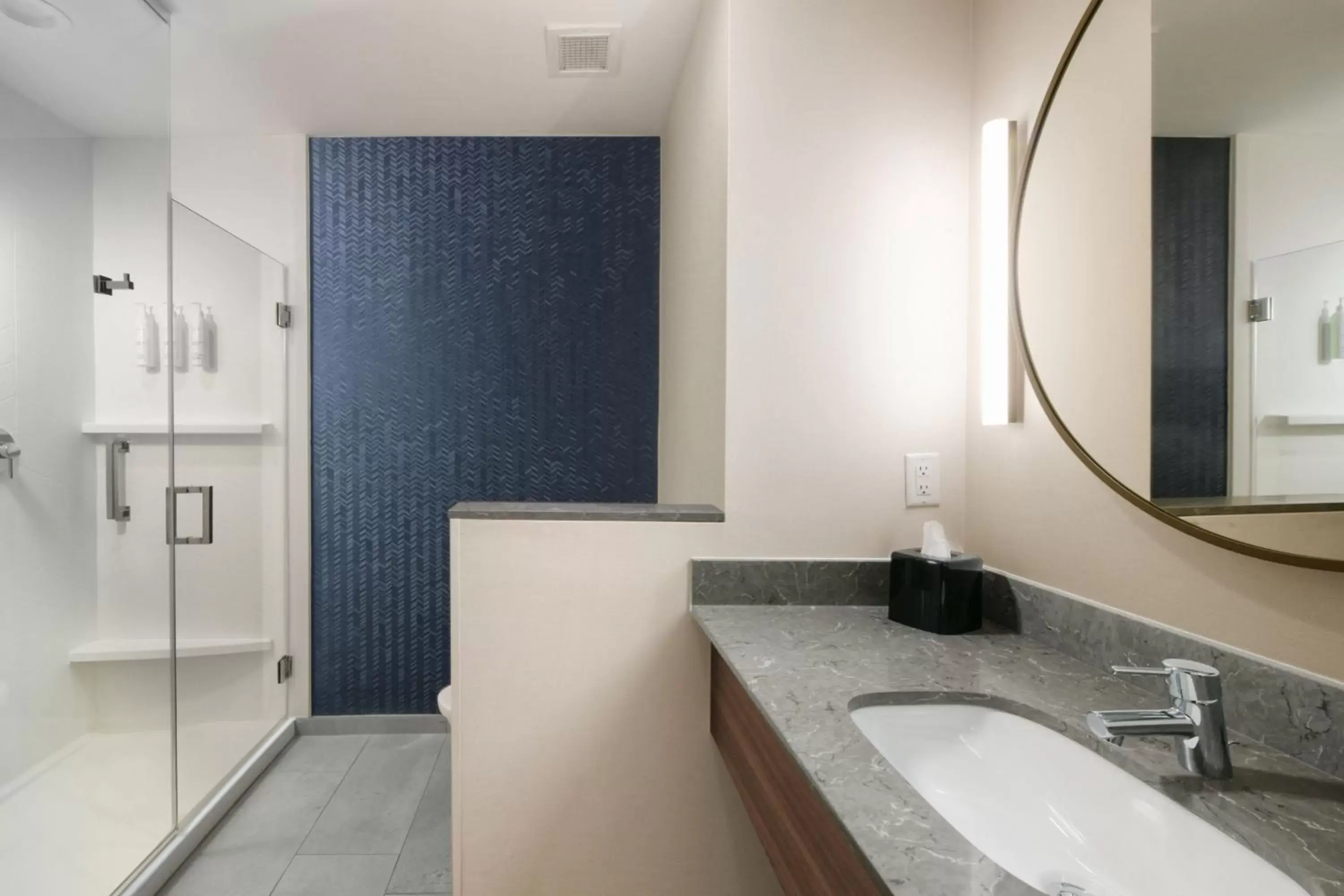 Bathroom in Fairfield by Marriott Inn & Suites Dallas East