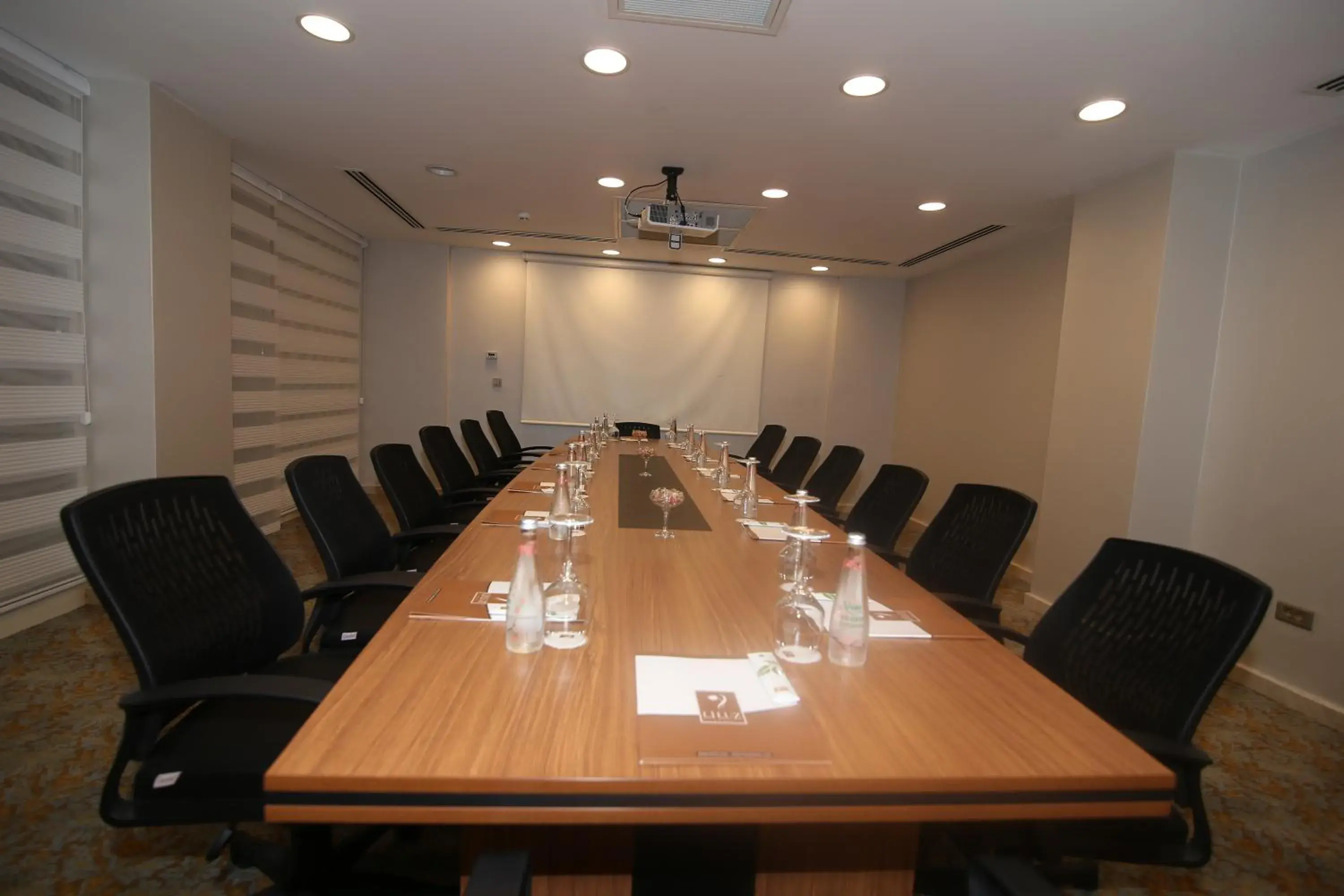 Business facilities in Demir Hotel