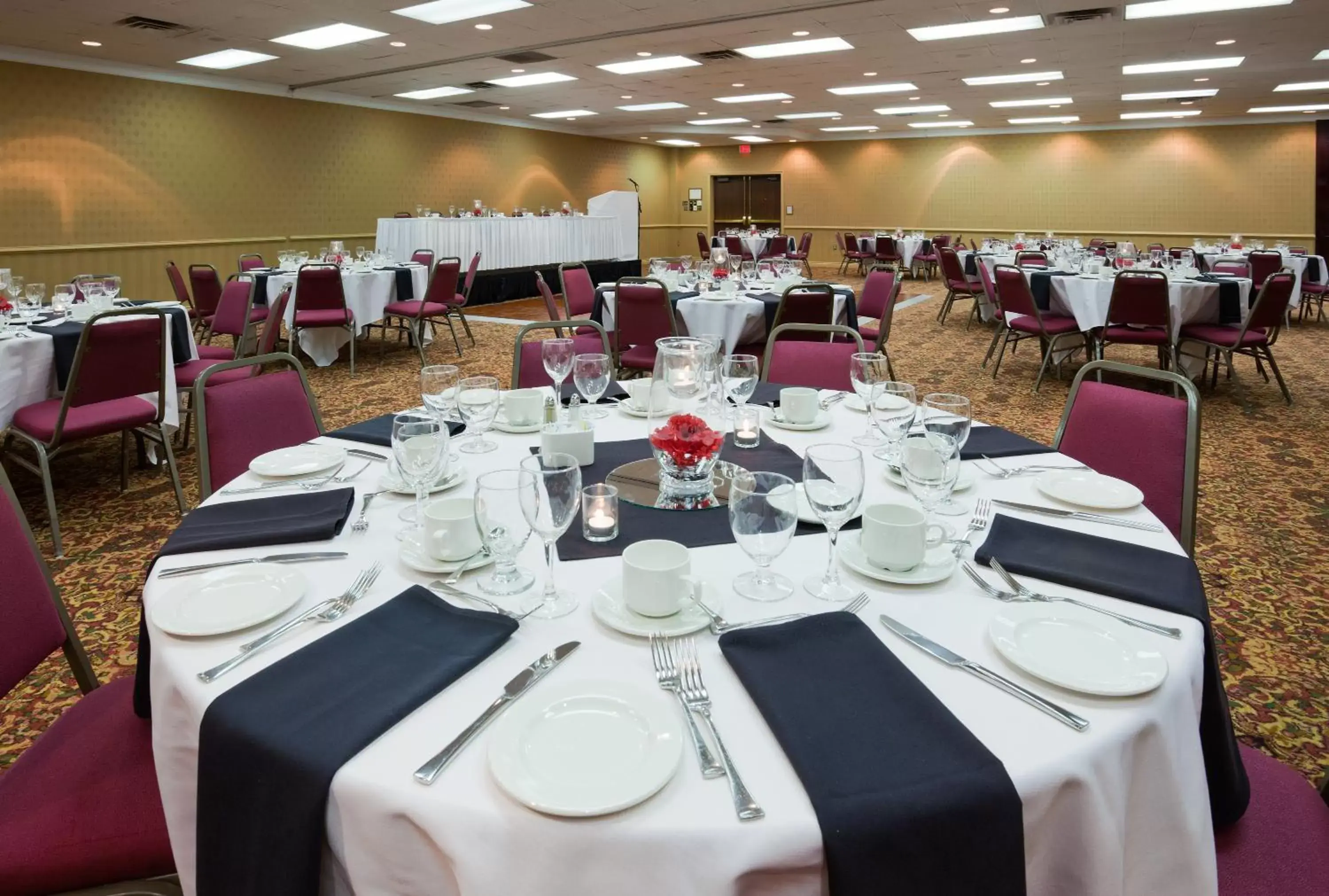 Banquet/Function facilities, Restaurant/Places to Eat in Sunbridge Hotel & Conference Centre Sarnia