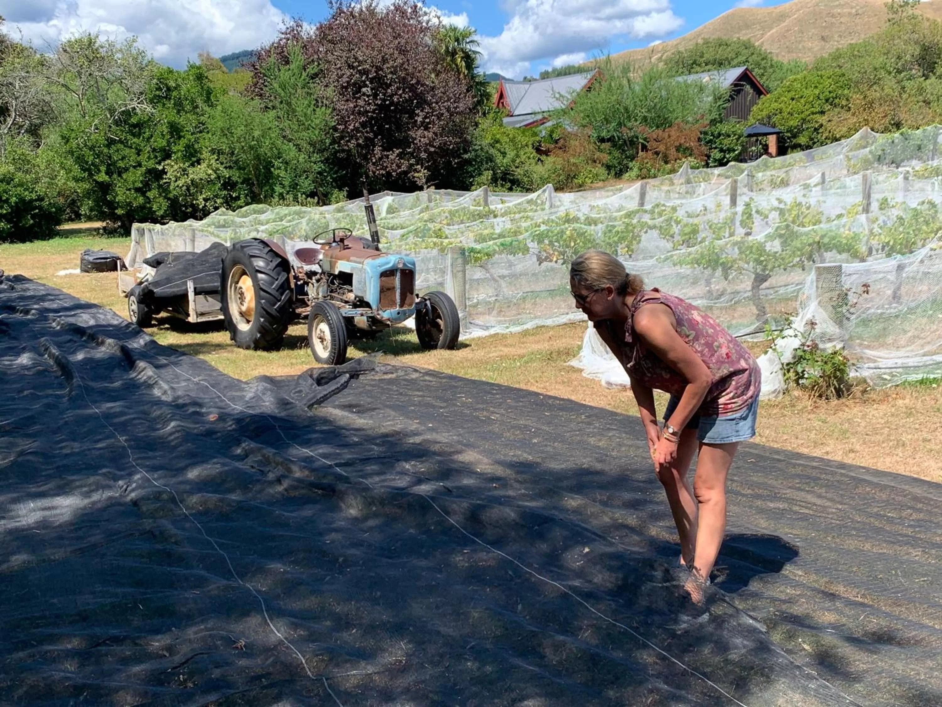 View (from property/room), Guests in Quail Farm, Colonial charm