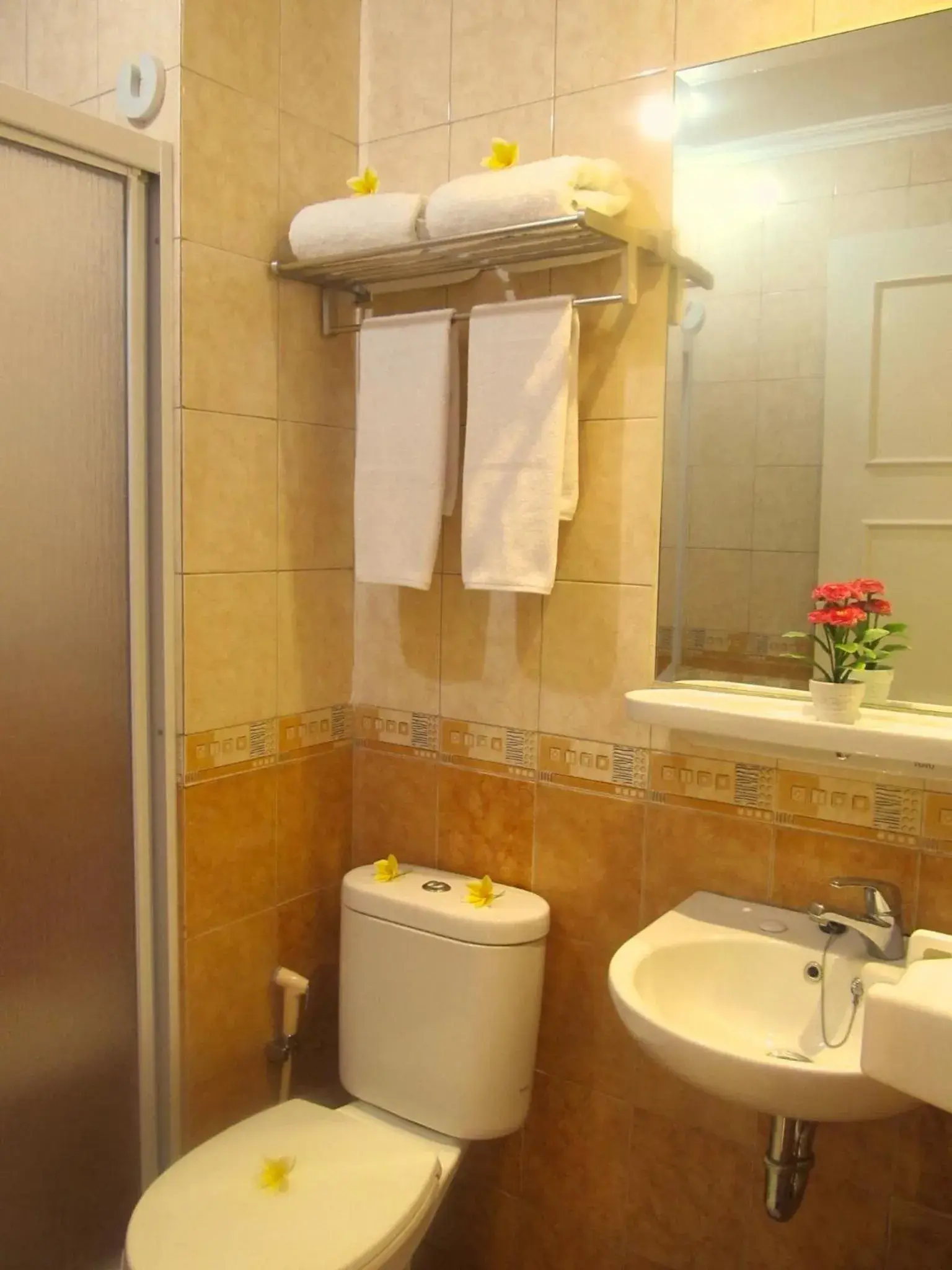 Shower, Bathroom in Ravarine Suite Apartment