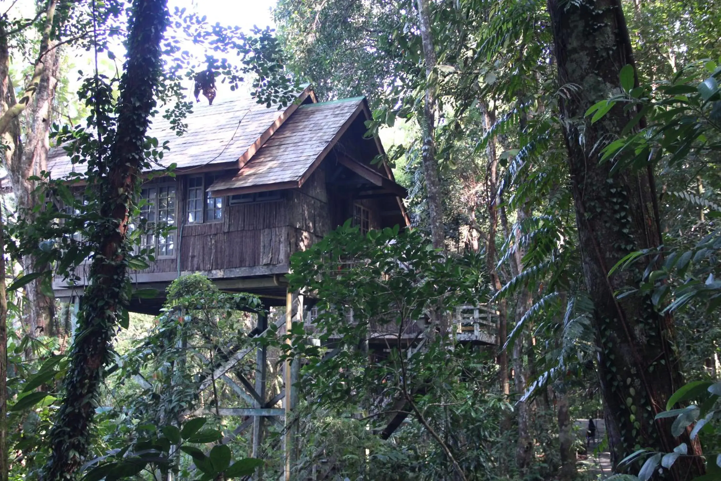 Property Building in Permai Rainforest Resort