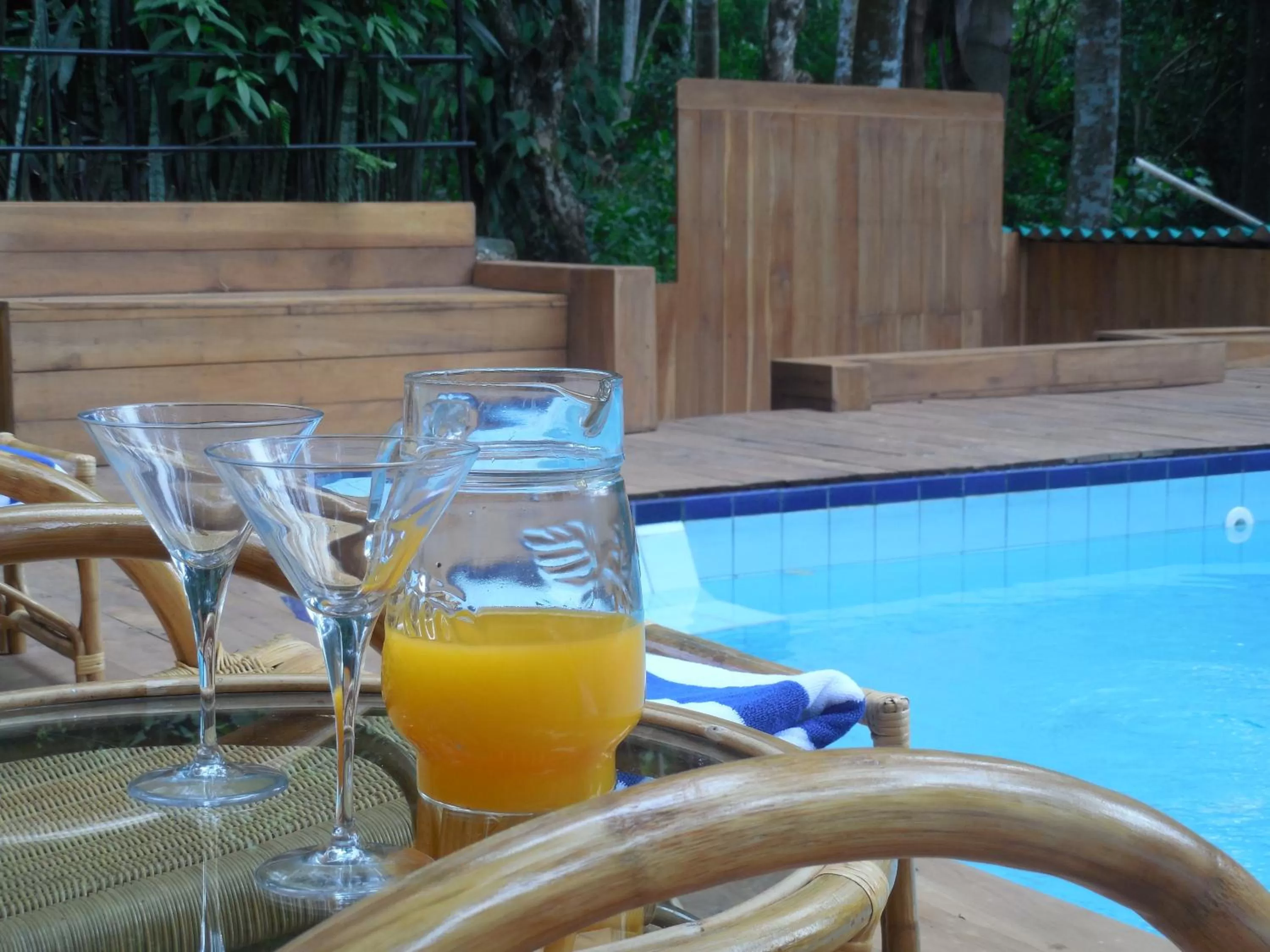 Swimming pool in Le leopard d 'argent