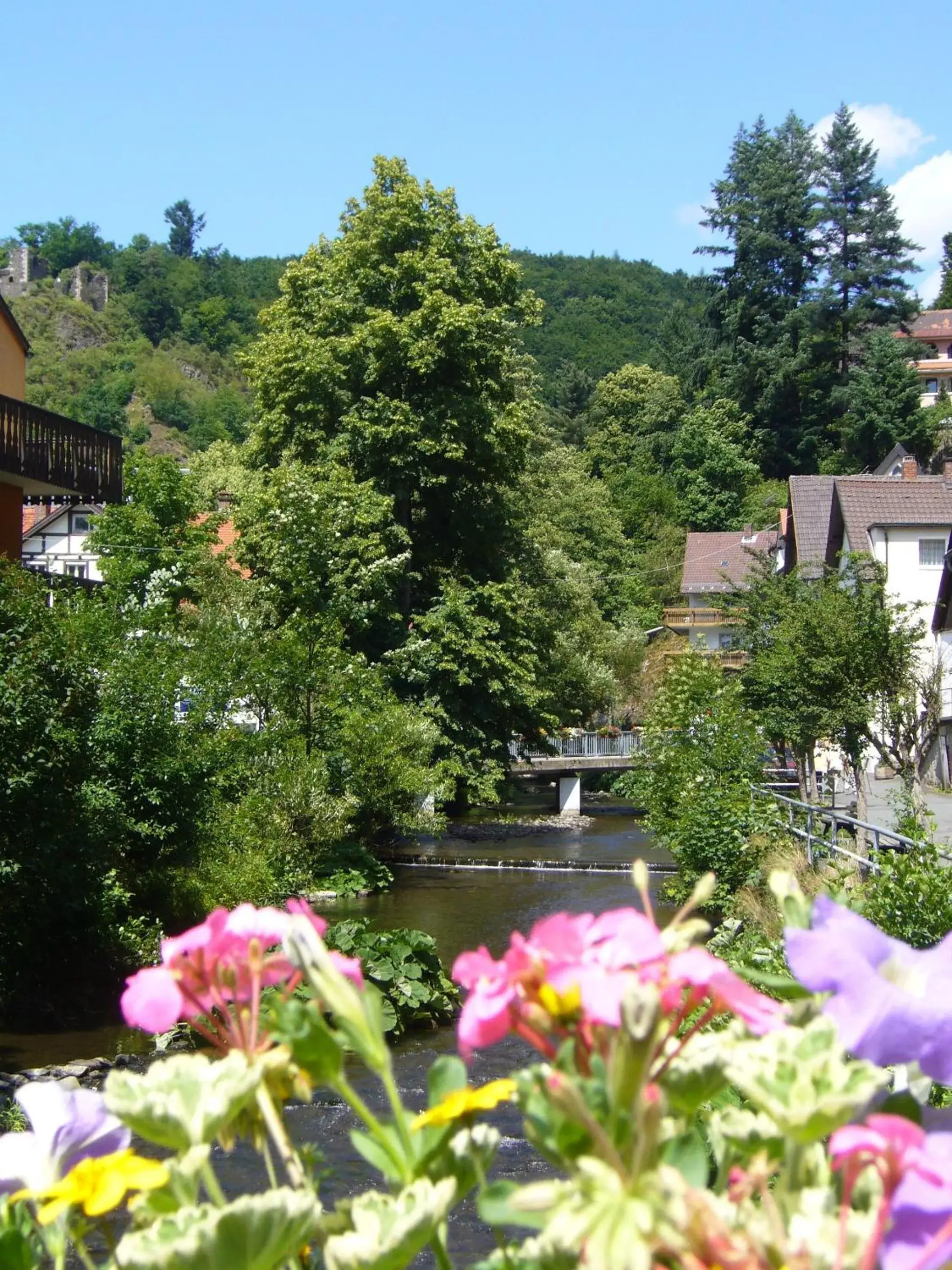 Area and facilities in Hotel Heissinger