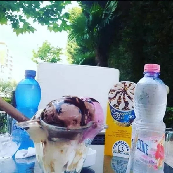 Hotel Ambasador Garden