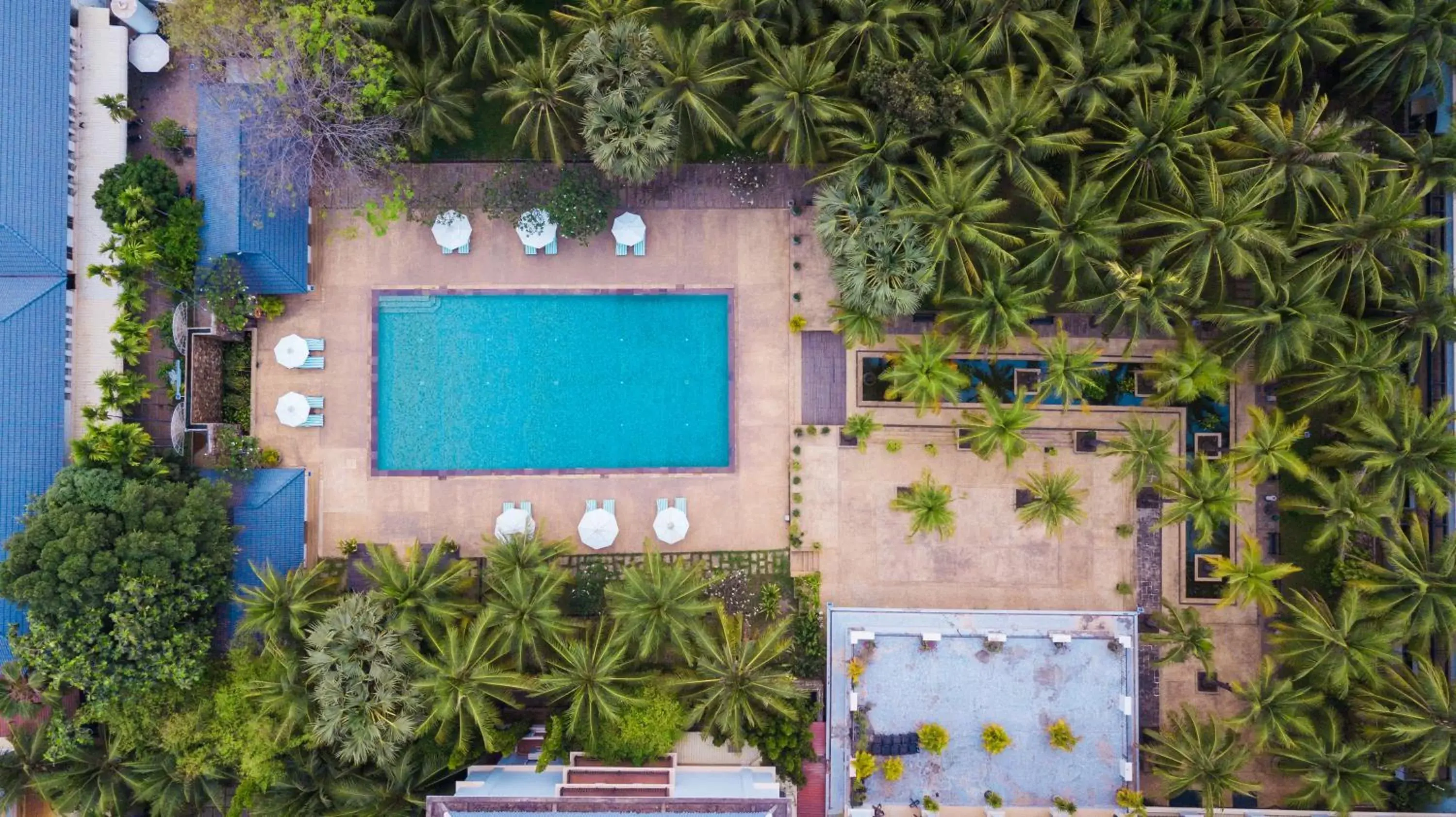 Swimming pool, Bird's-eye View in Lotus Blanc Resort