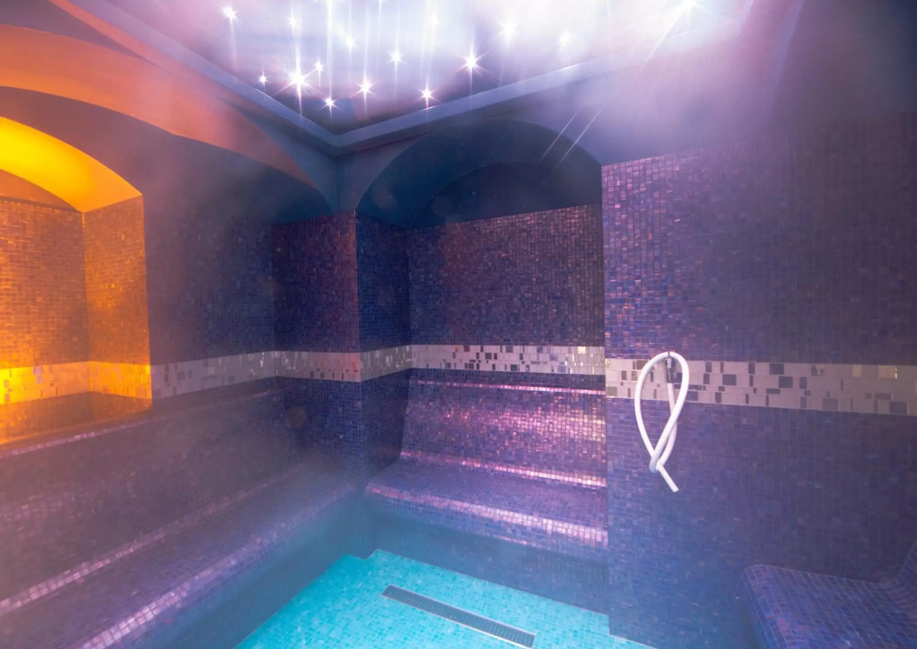 Steam room, Swimming Pool in Best Western Plus Hotel Genova