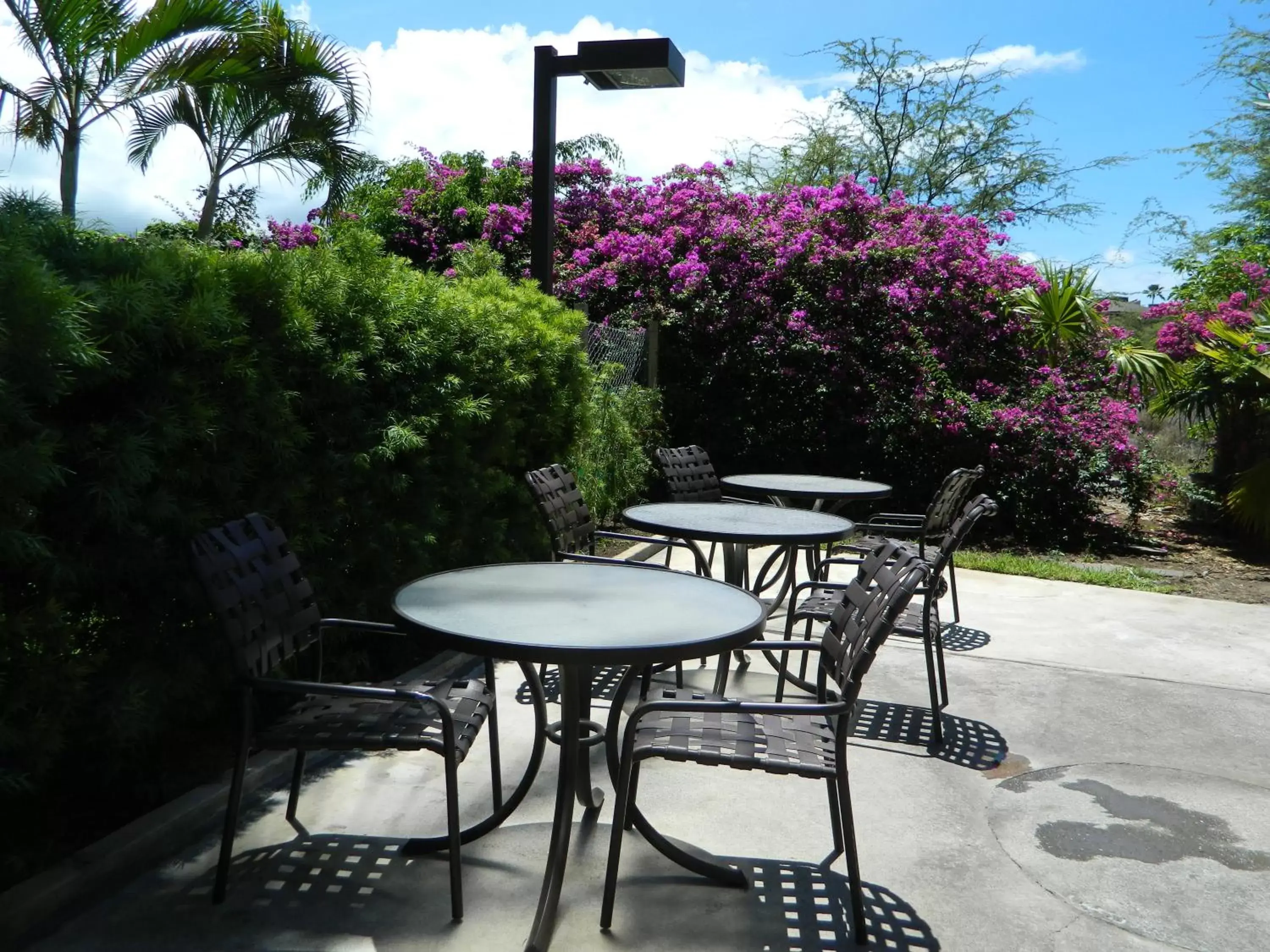 Patio in Maui Banyan Vacation Club