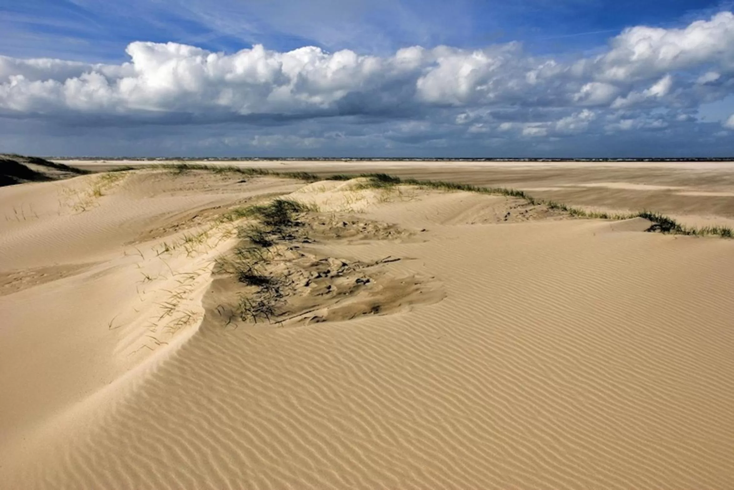Natural landscape in Ara Dune Hotel