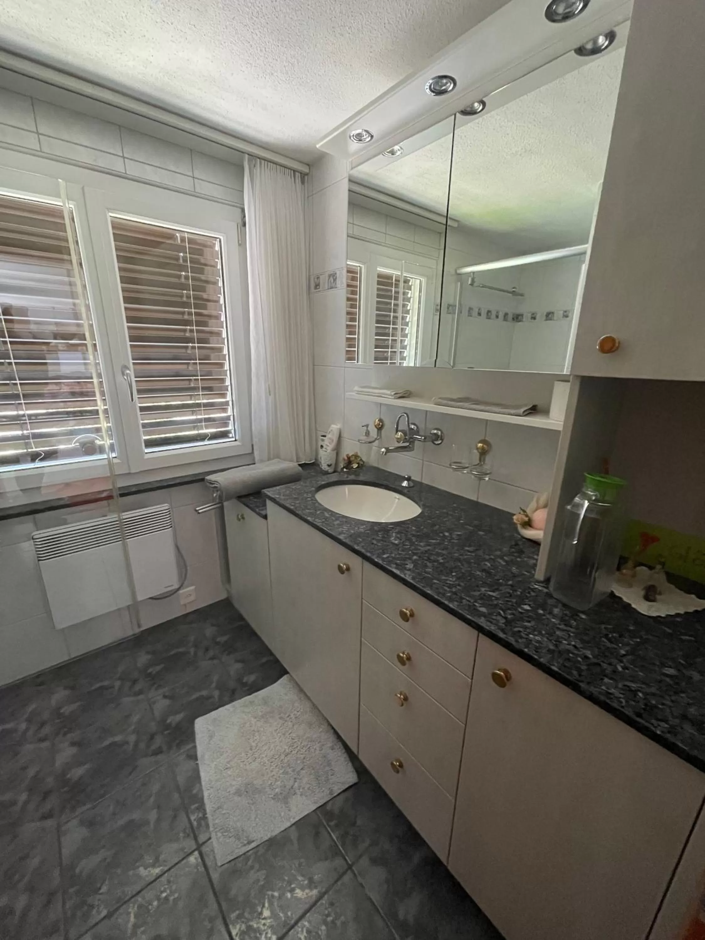 Bathroom, Kitchen/Kitchenette in Silvia's Bed und Breakfast in Luzern