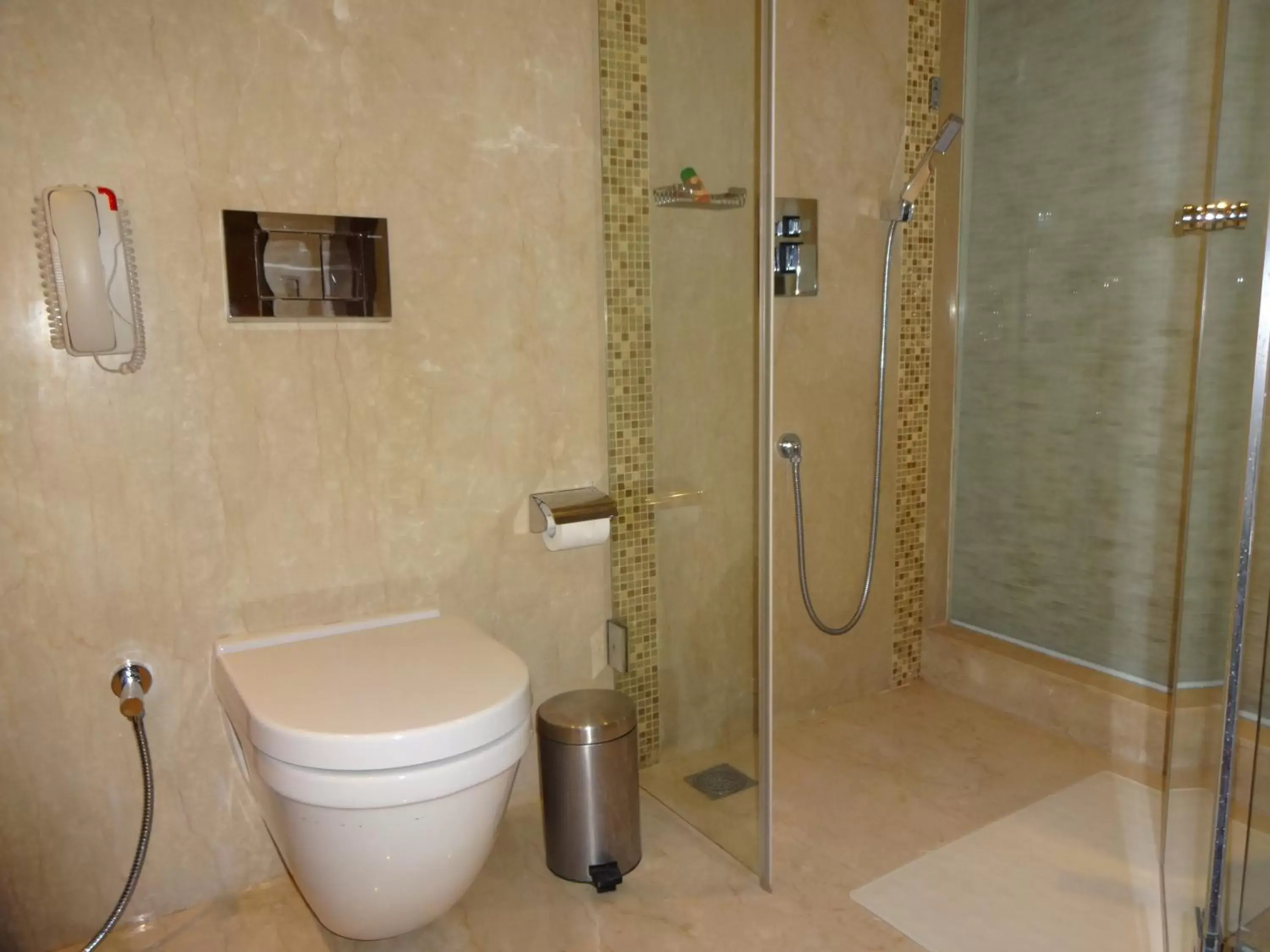 Toilet, Bathroom in The Raintree, Anna Salai