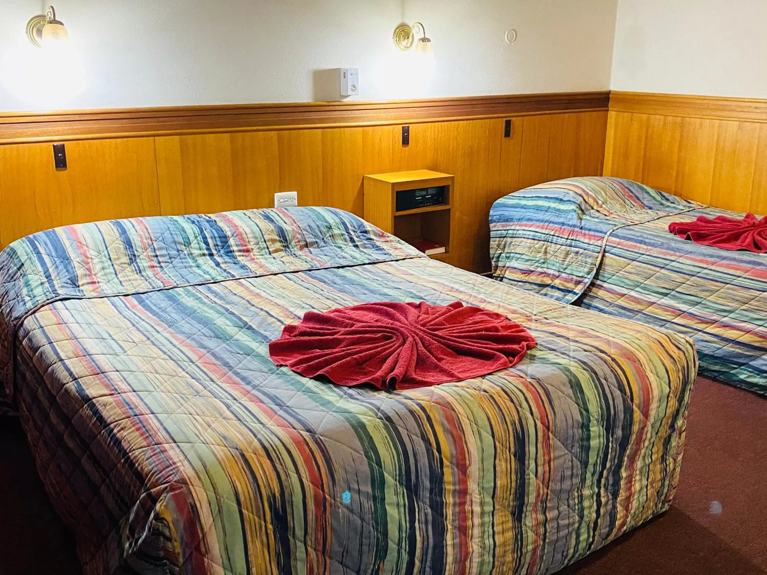 Shower, Bed in County Lodge Motor Inn