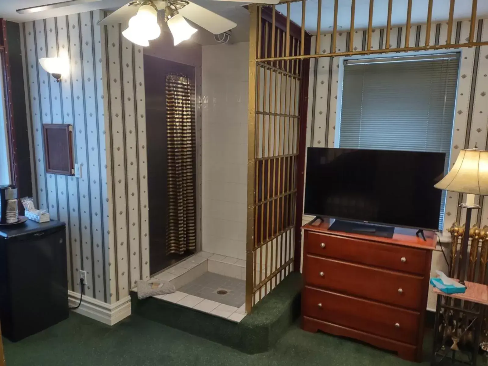 Shower, TV/Entertainment Center in The King George Inn