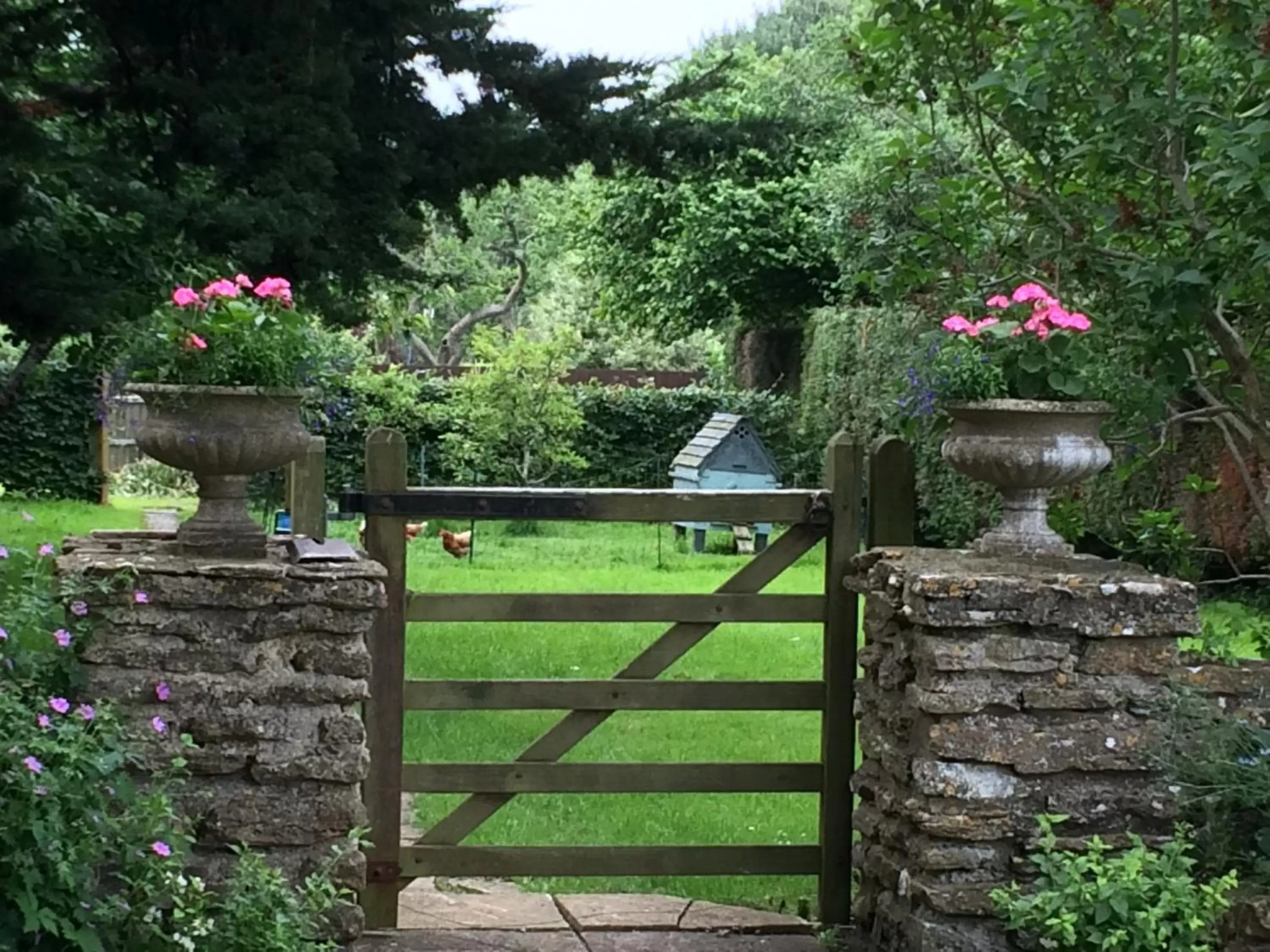 Garden view in Hound House Bed & Breakfast