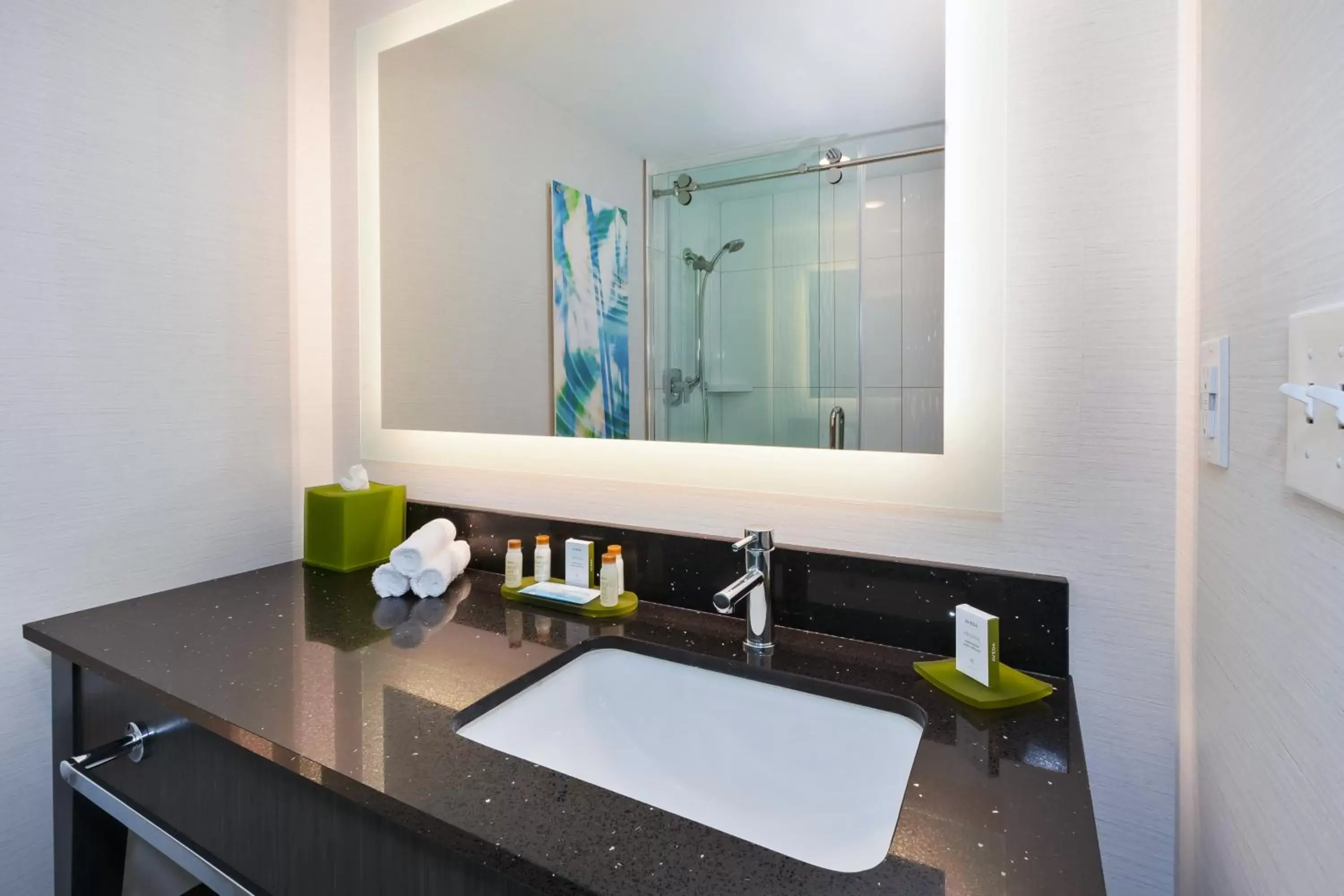 Photo of the whole room, Bathroom in Hotel Indigo Rochester - Mayo Clinic Area