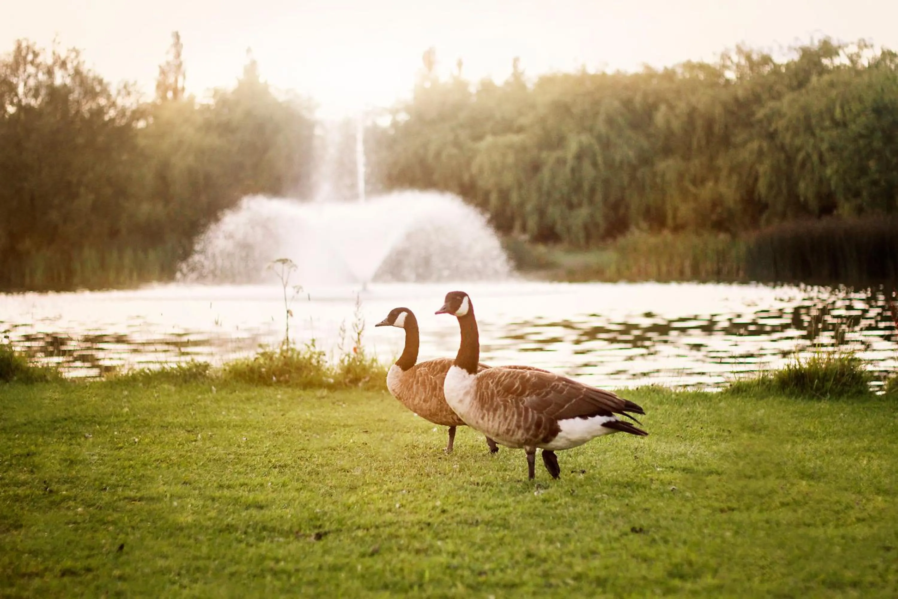 Calderfields Golf & Country Club