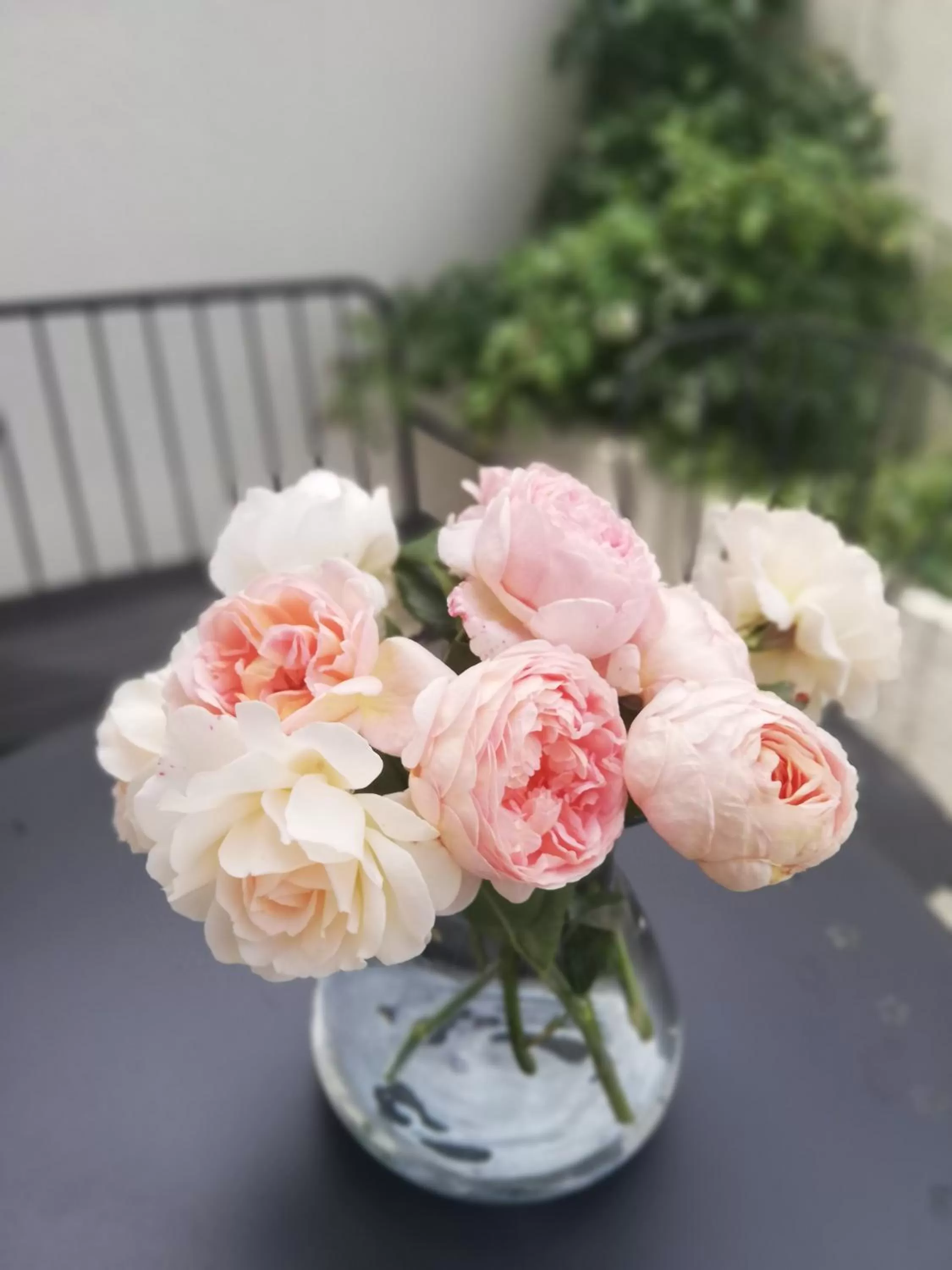 Garden in Veronika Home Tbilisi