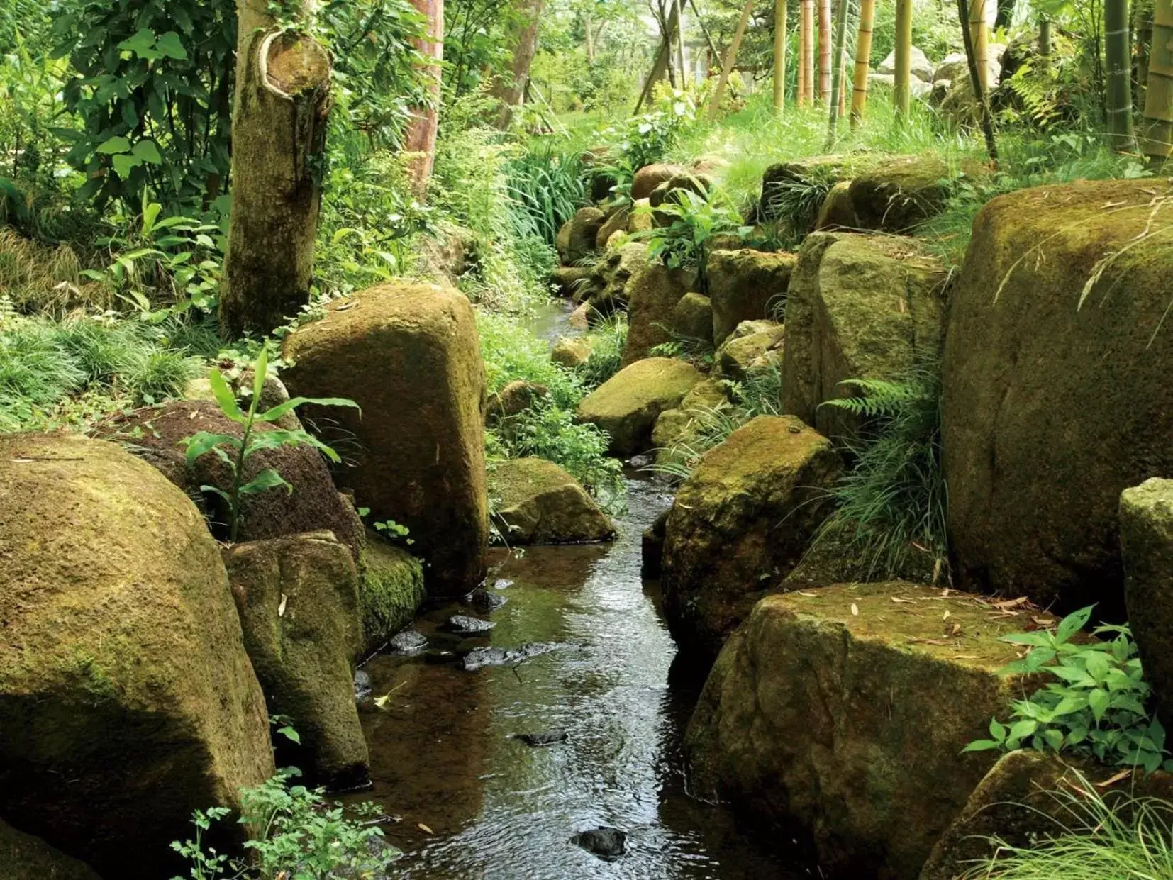 Area and facilities, Natural Landscape in Mars Garden Wood Gotenba