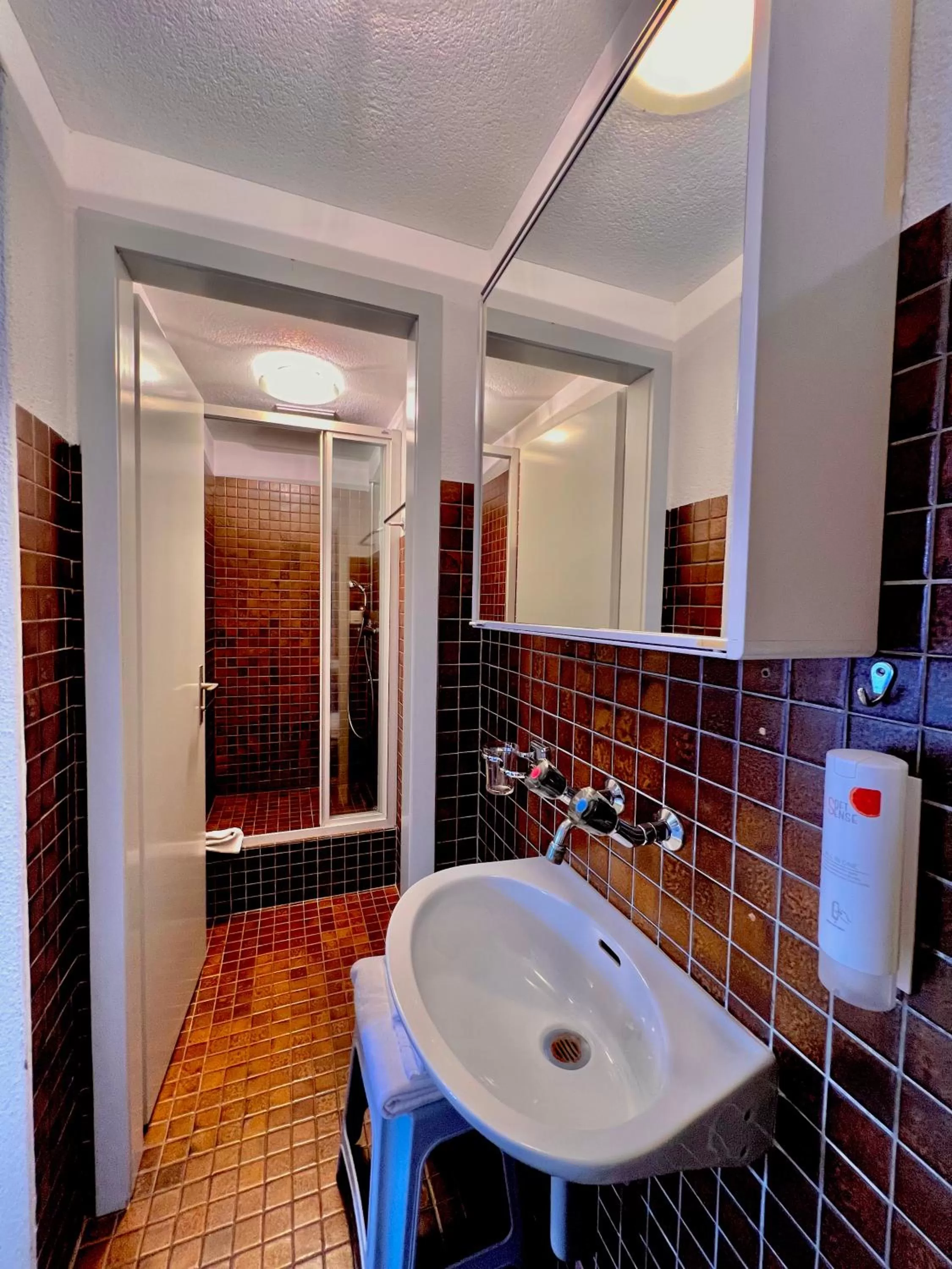 Hotel Hirschen Hinwil