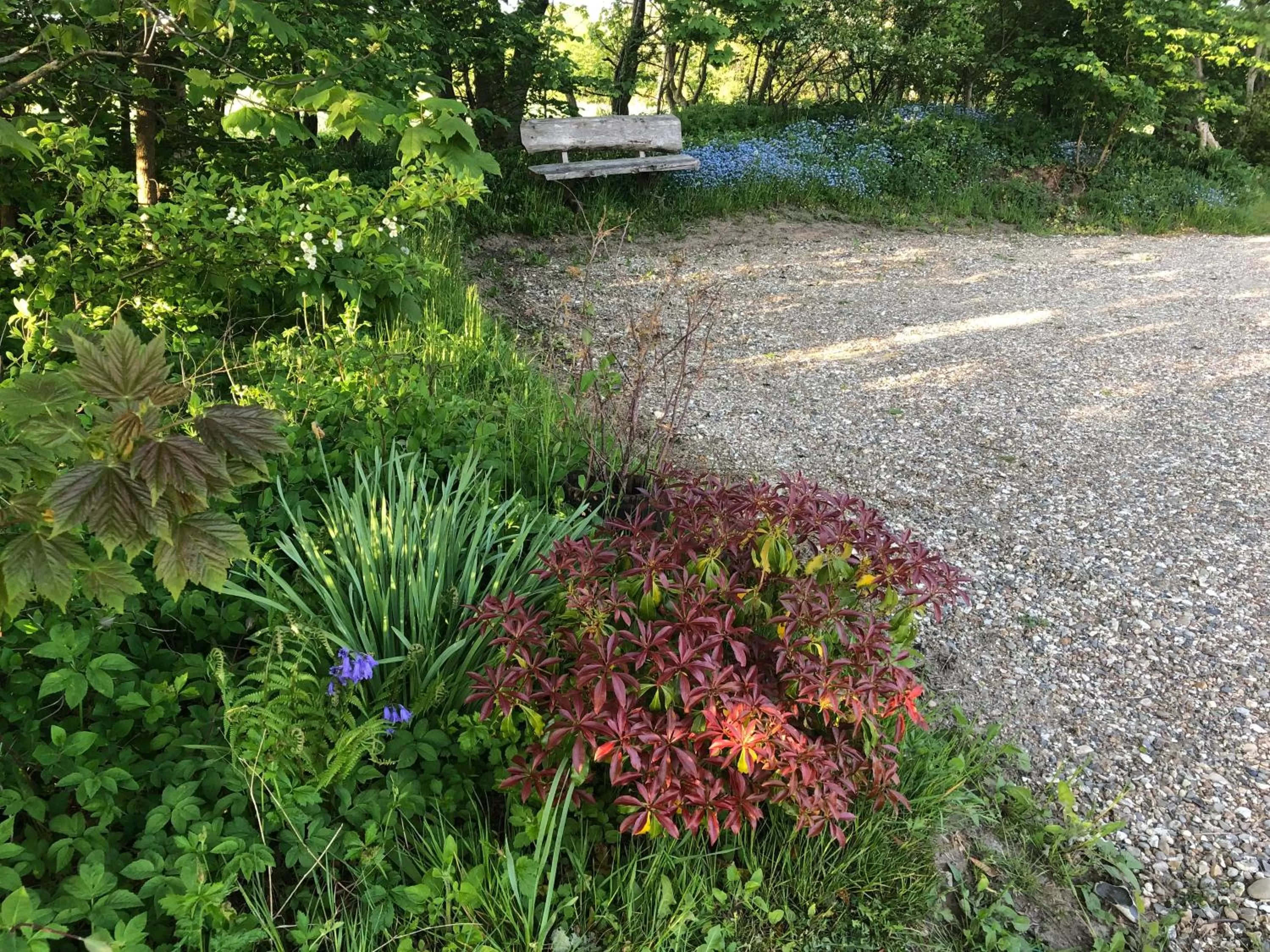 Garden in Landevejens B&B Holstebro