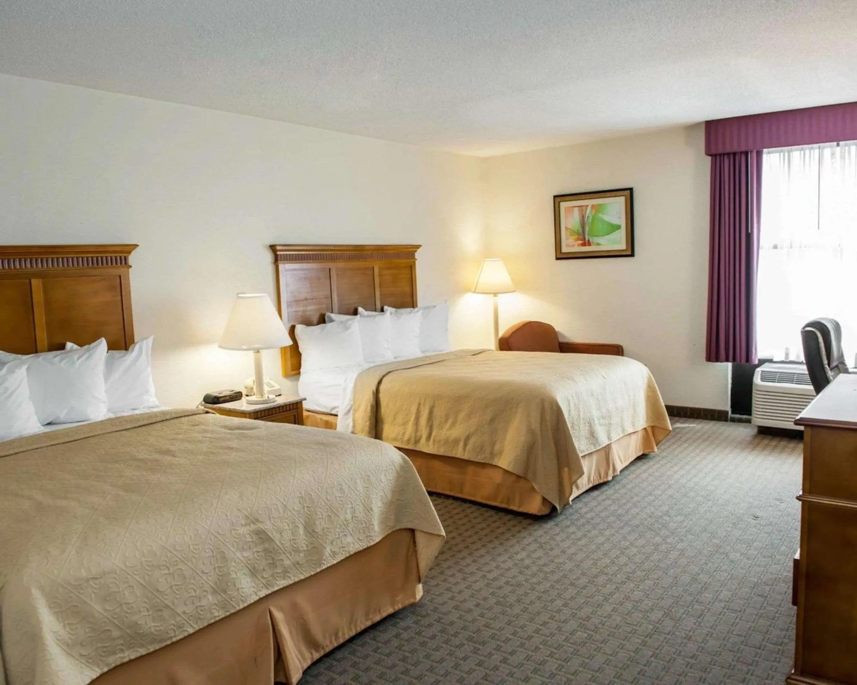 Photo of the whole room, Bed in Quality Inn and Suites Indianapolis