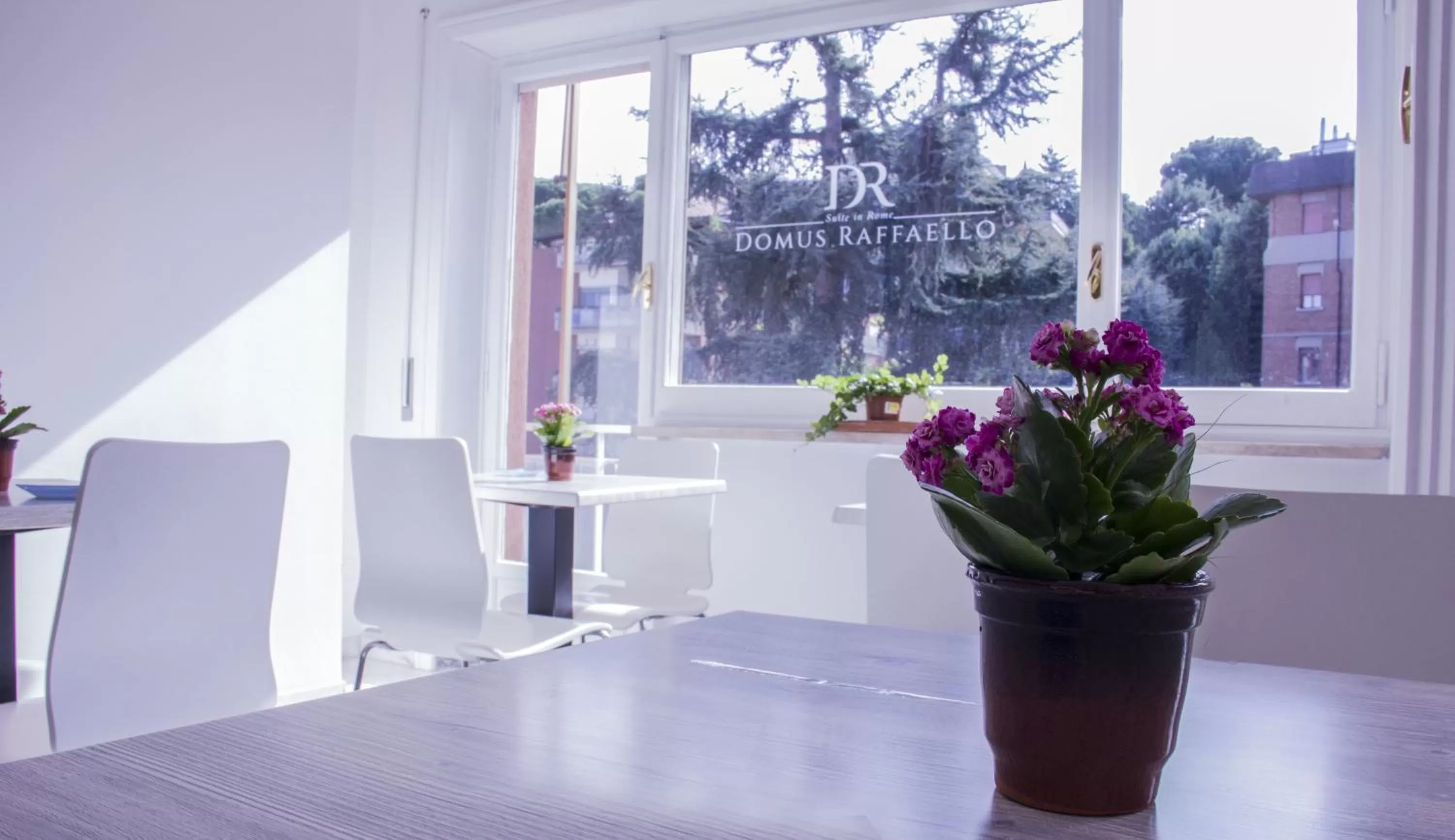 Restaurant/places to eat in Domus Raffaello